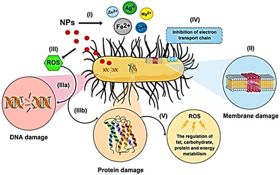 Polymers Free Full Text A Review on Reinforcements and