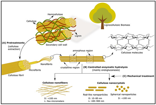 Polymers Free Full Text A Review on Reinforcements and