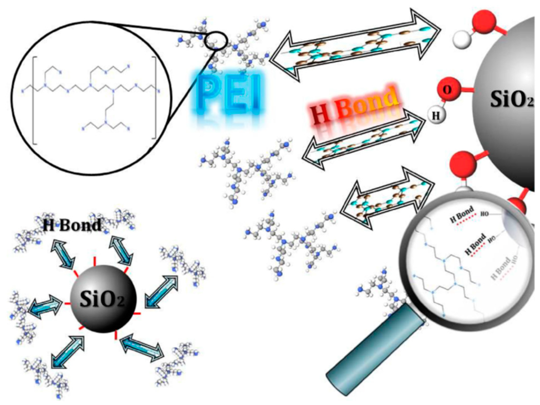 Polymers 15 02987 g002