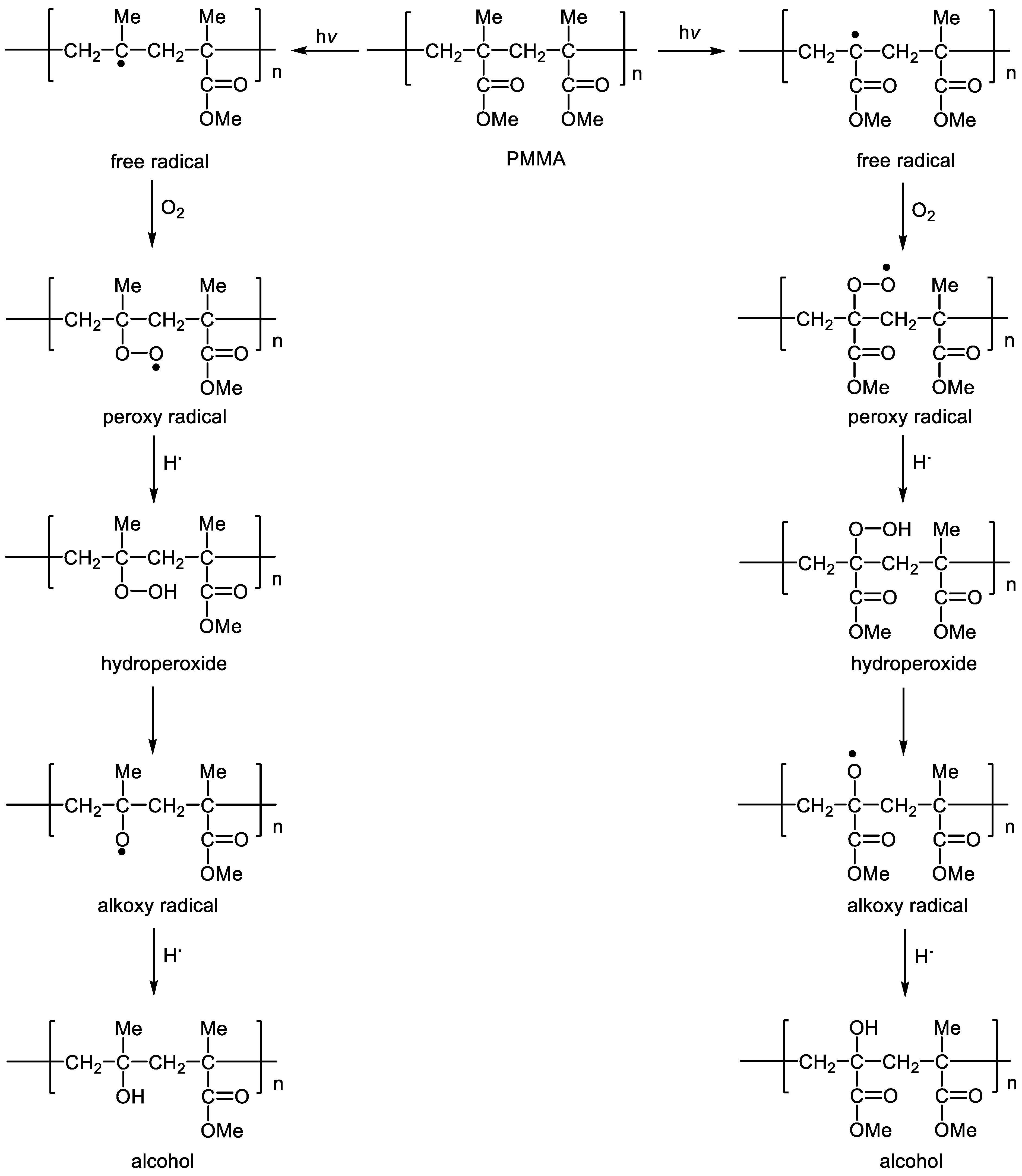 Polymers 15 02989 g001