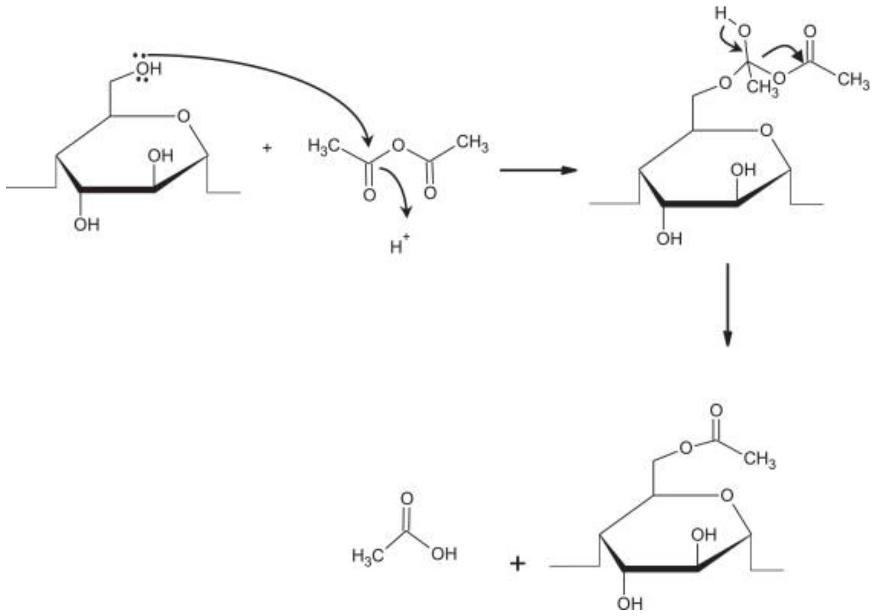 Polymers 15 02990 g001