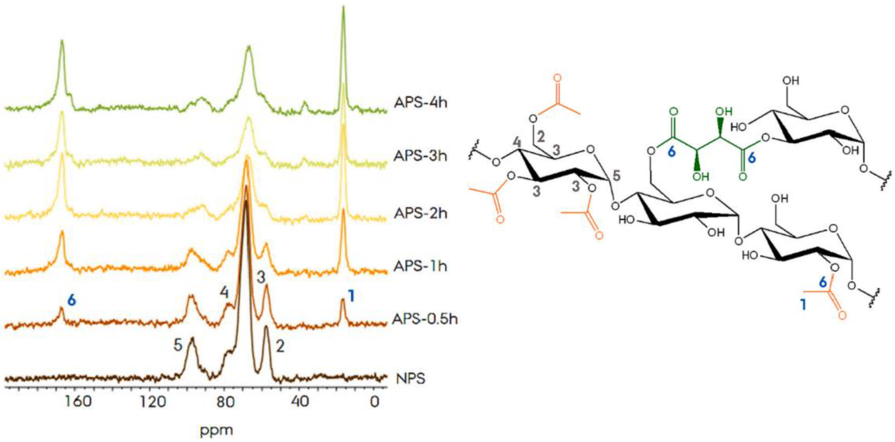 Polymers 15 02990 g003