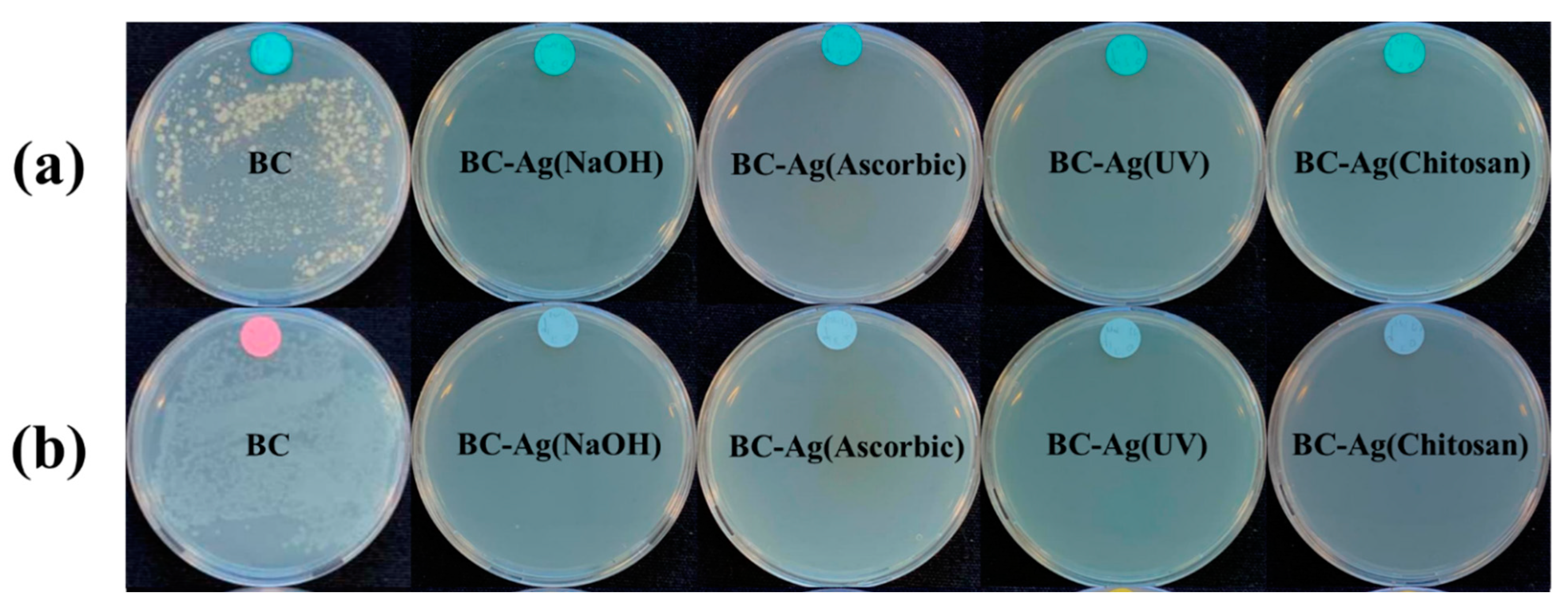 Polymers 15 02996 g010 Polymers 15 02996 g010