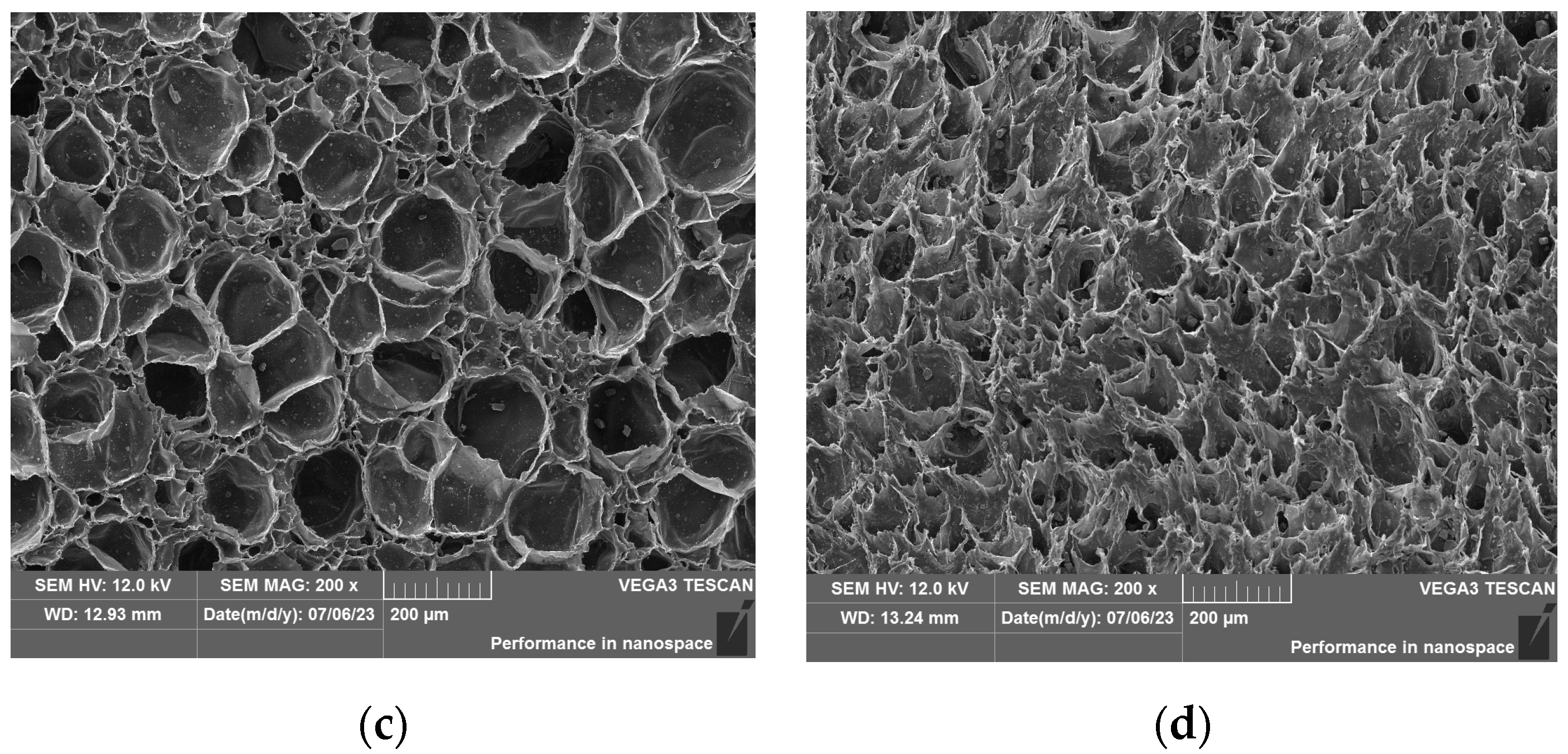 Polymers 15 03016 g001b