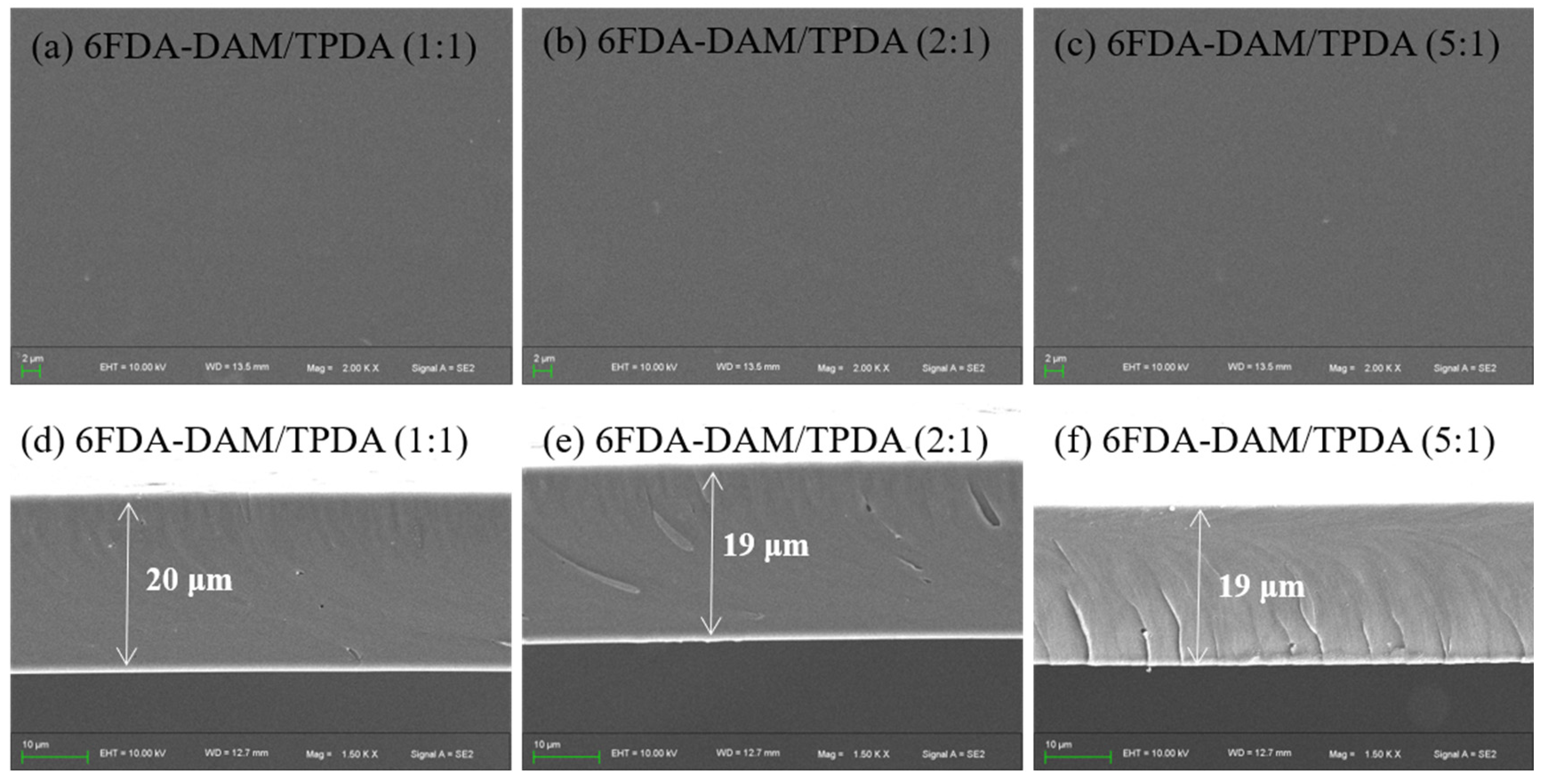 Polymers 15 03017 g001 Polymers 15 03017 g001