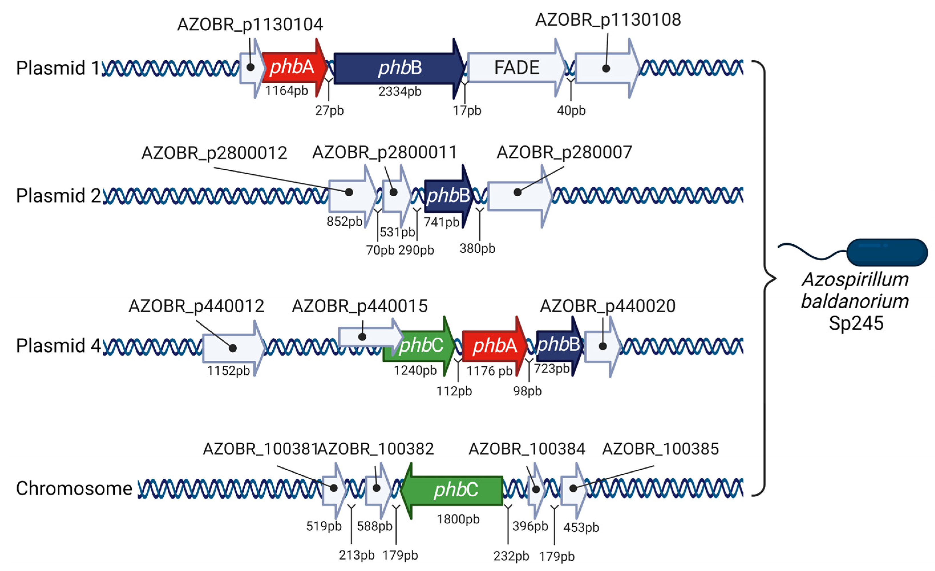 Polymers 15 03027 g003