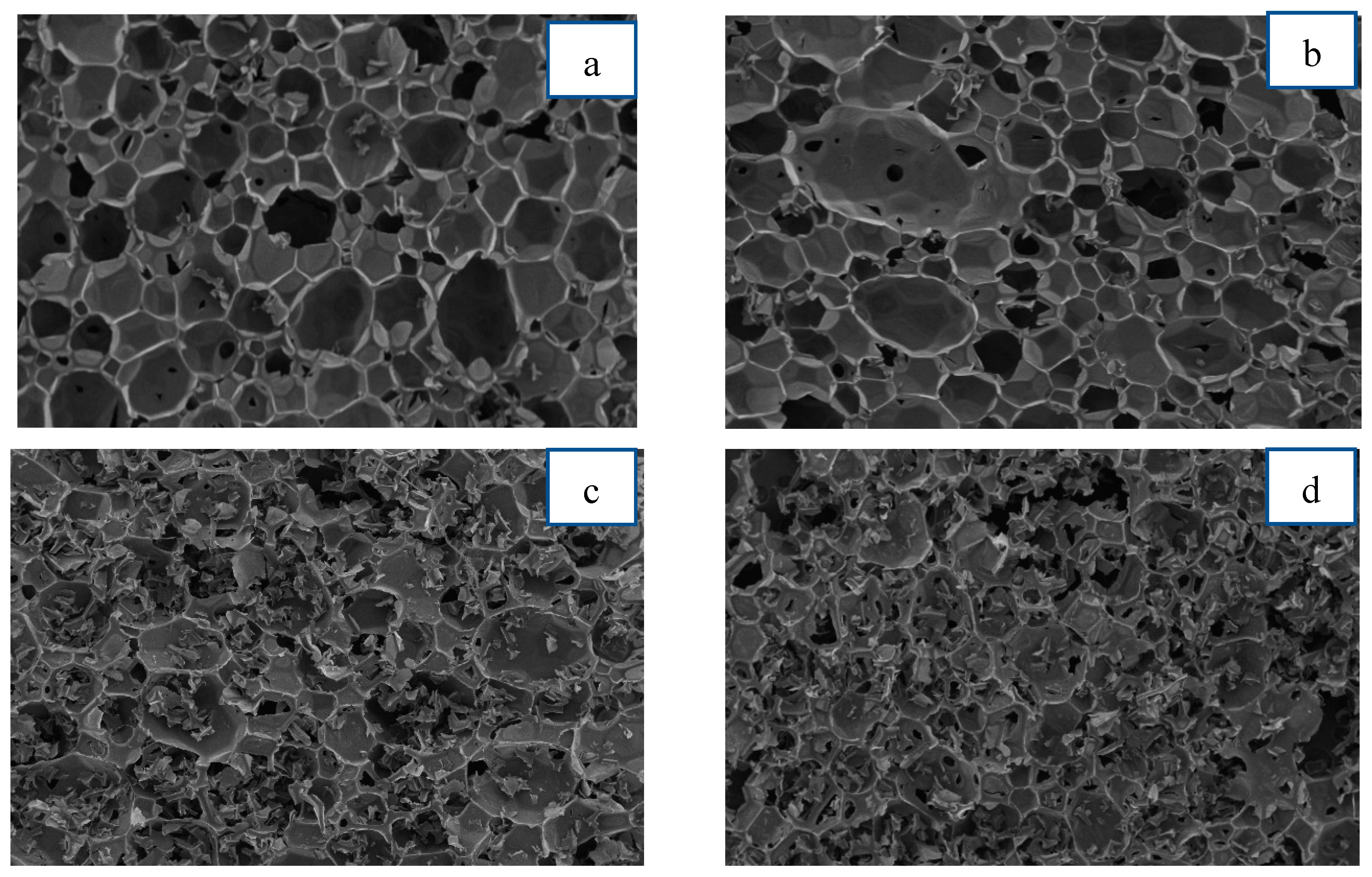 Polymers 15 03028 g009a Polymers 15 03028 g009a