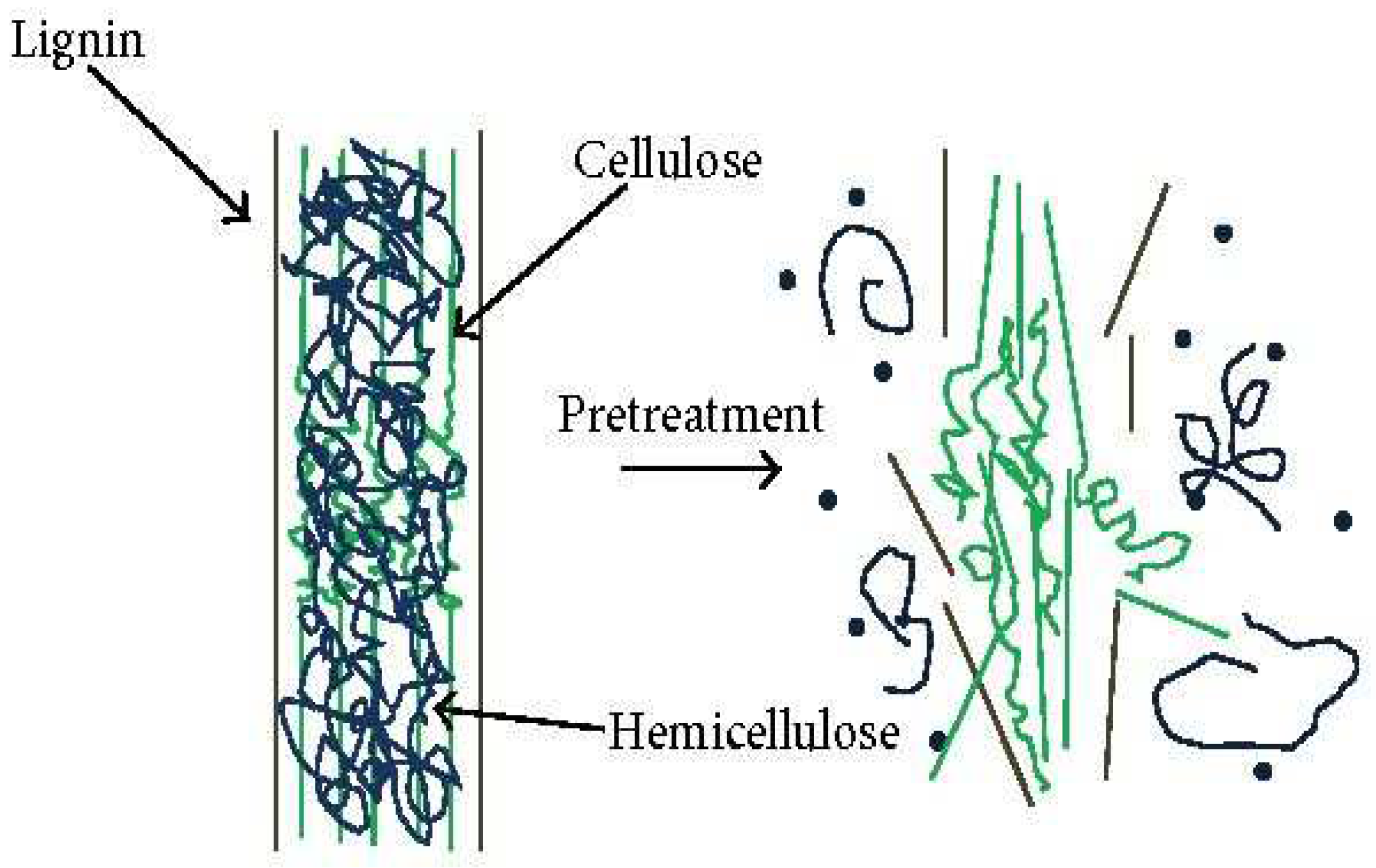 Polymers 15 03044 g013 Polymers 15 03044 g013