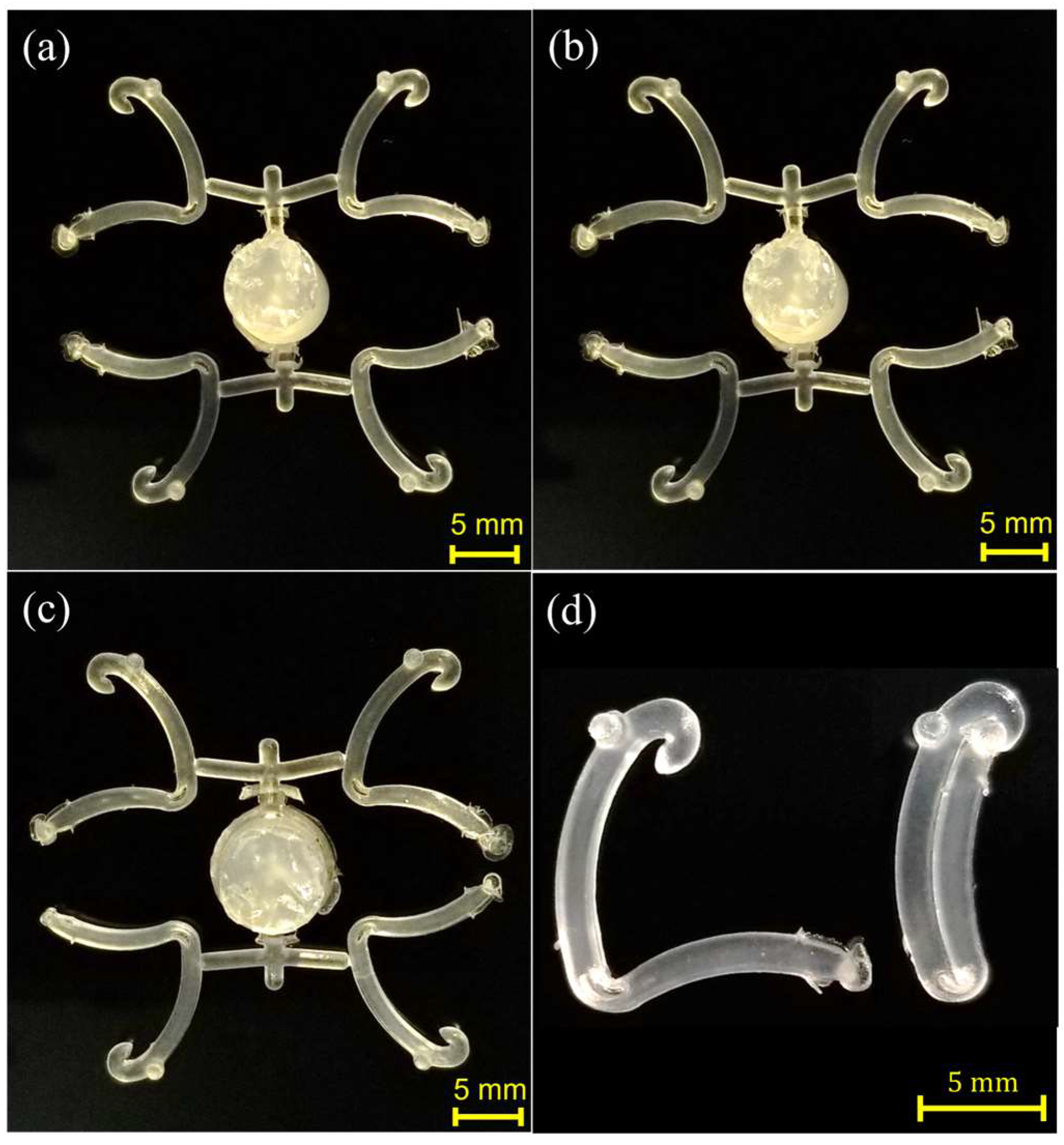 Polymers 15 03049 g007