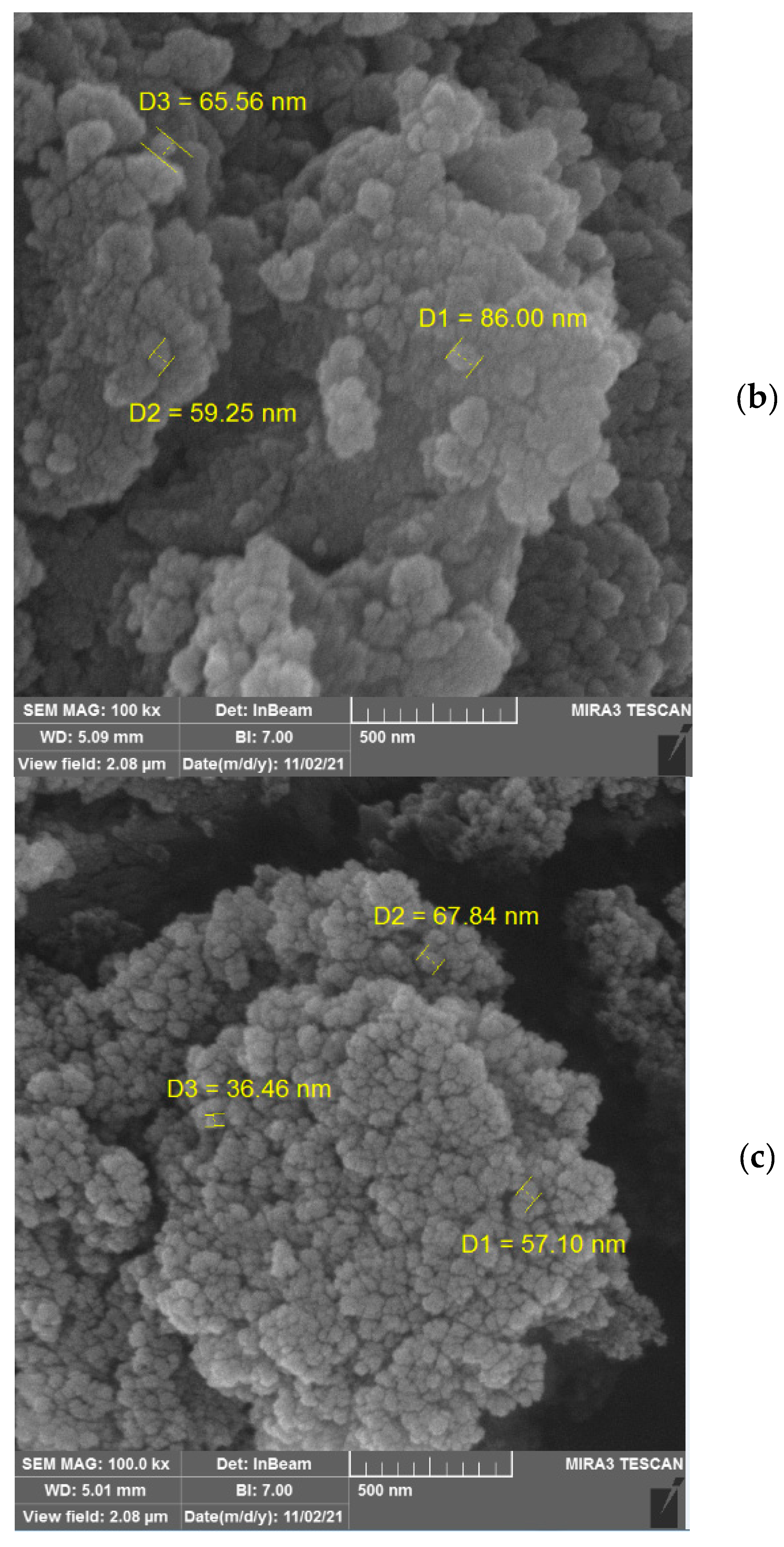 Polymers 15 03064 g005b Polymers 15 03064 g005b