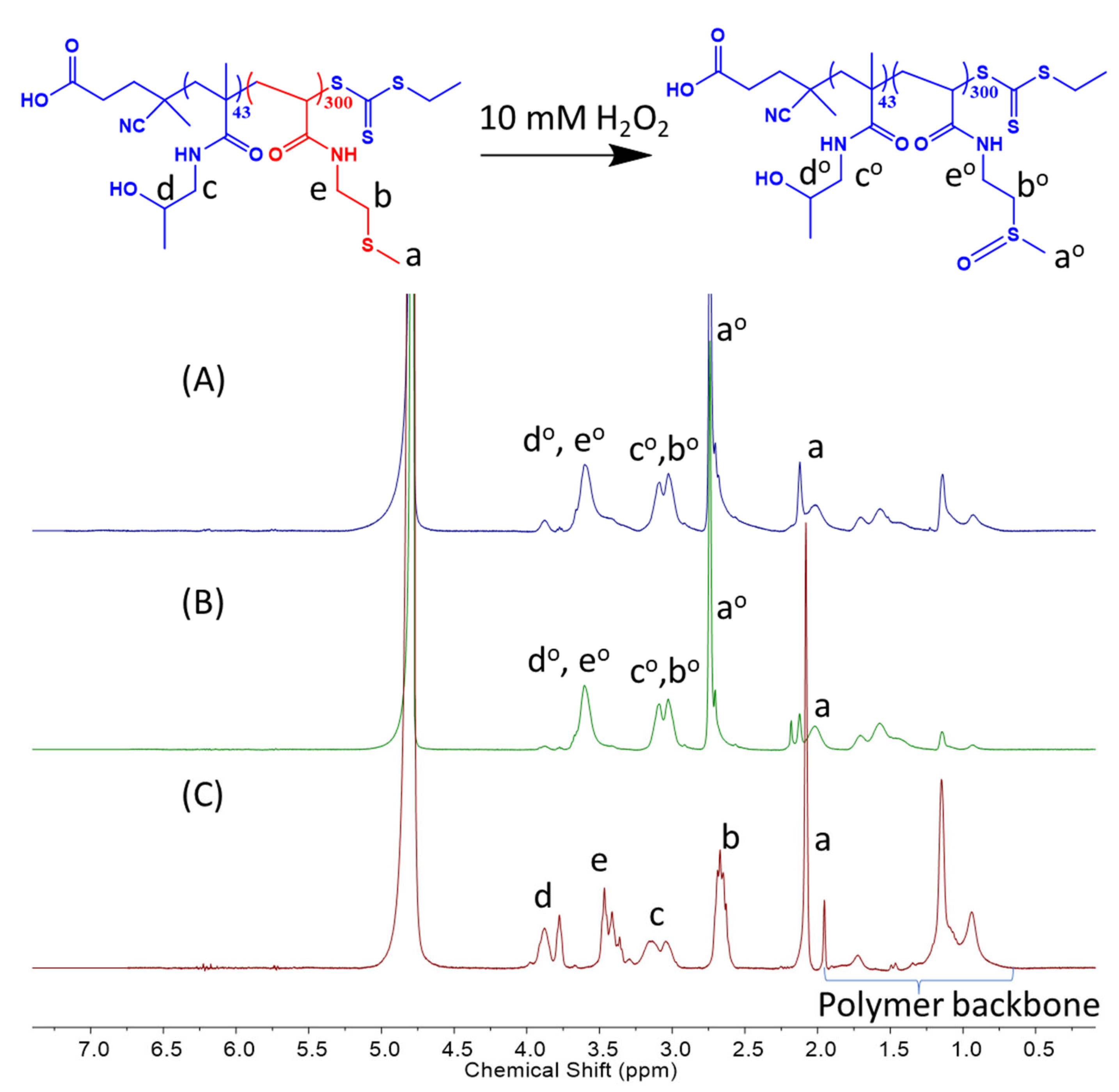 Polymers 15 03070 g004