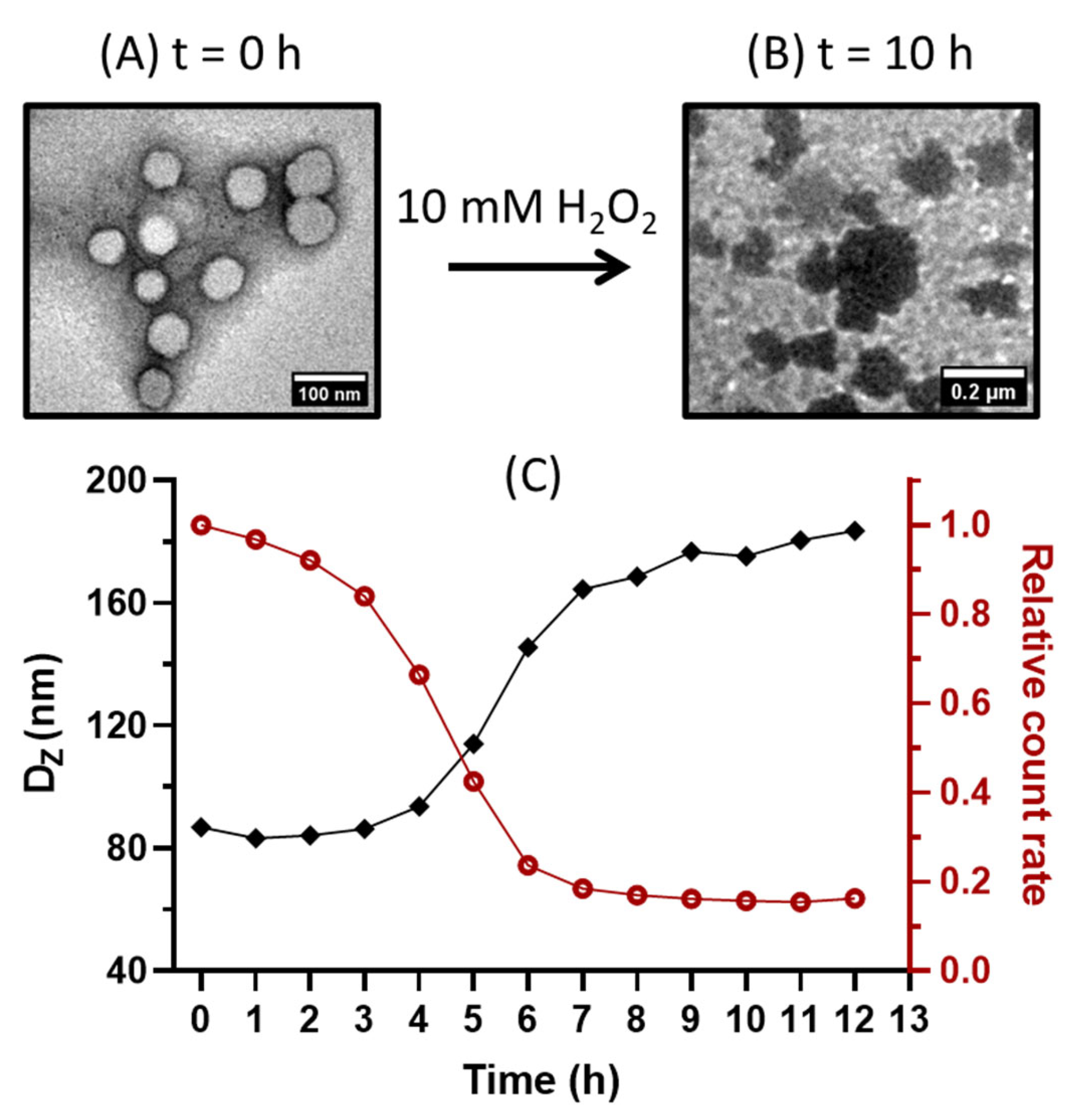Polymers 15 03070 g006