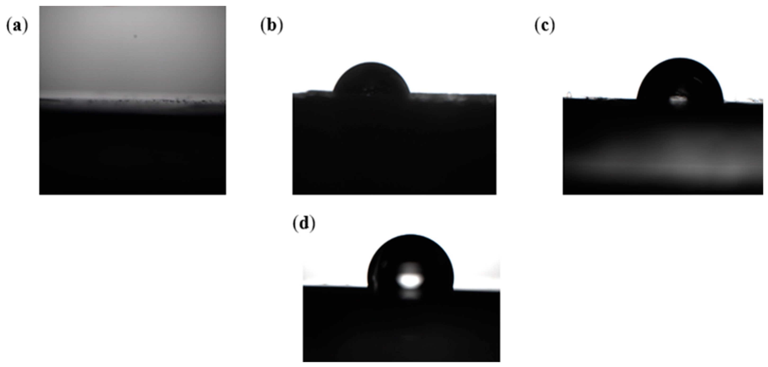 Polymers 15 03077 g010