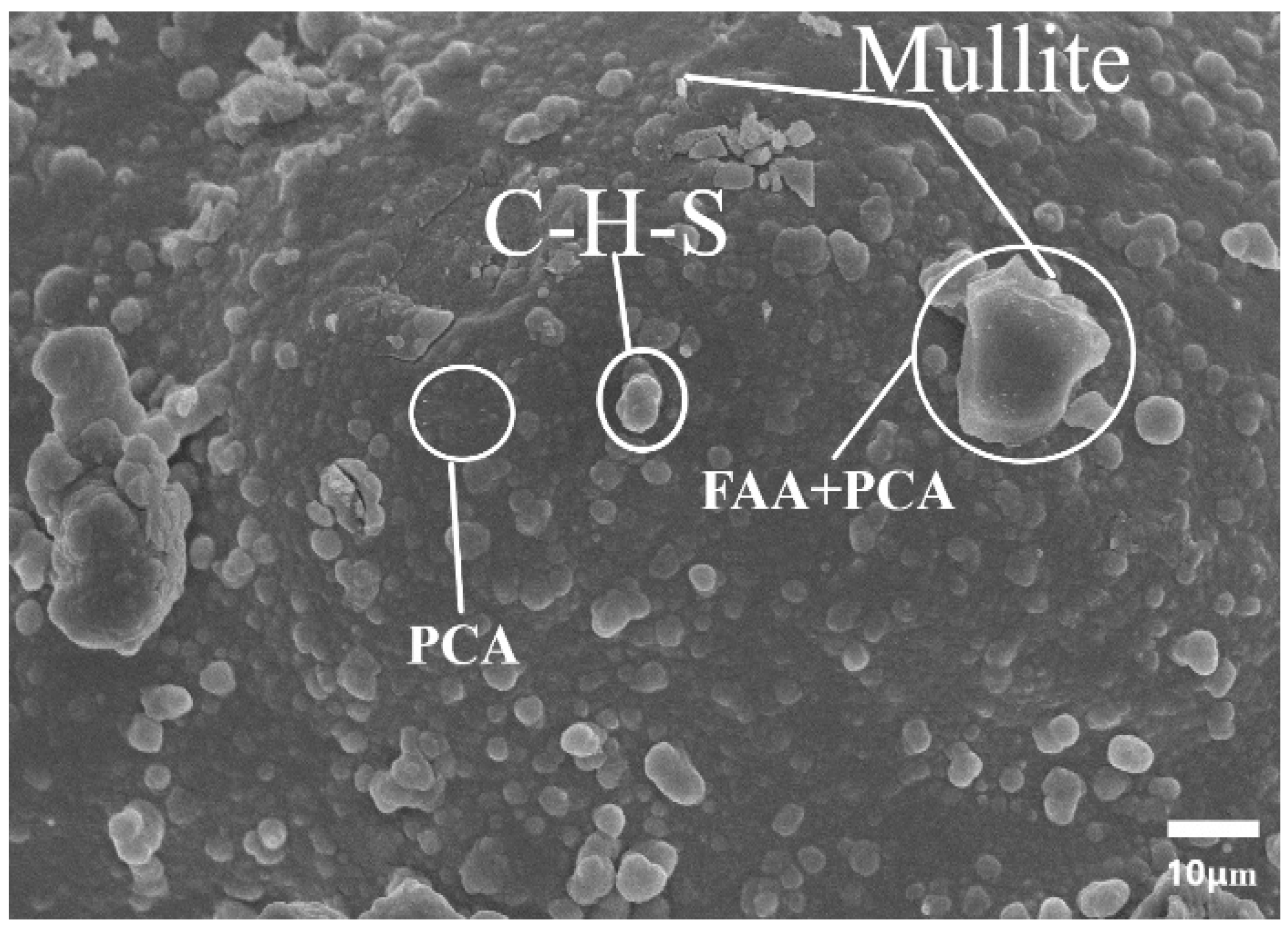 Polymers 15 03077 g013
