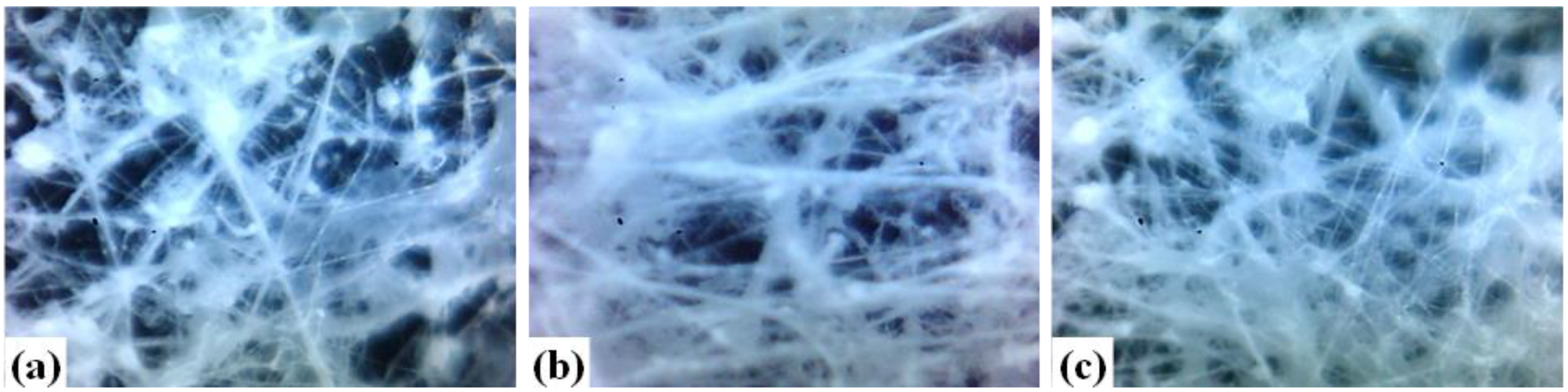 Polymers 15 03086 g002 Polymers 15 03086 g002