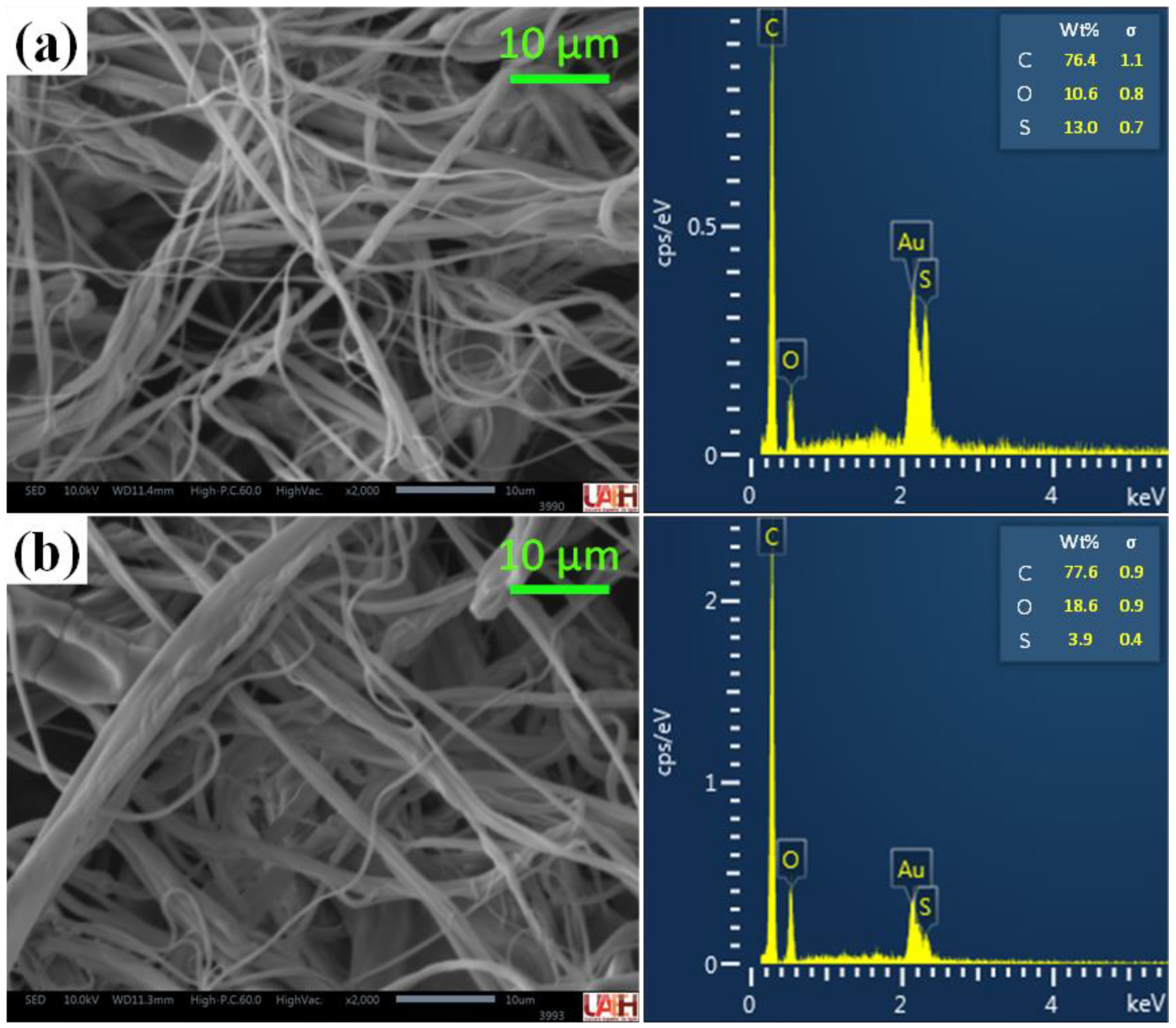 Polymers 15 03086 g005 Polymers 15 03086 g005