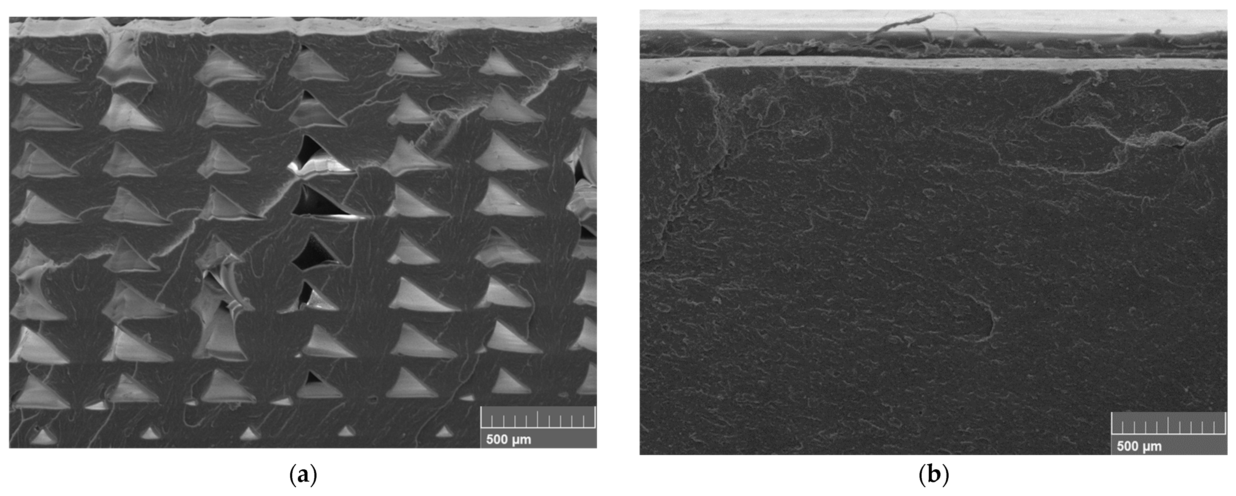 Polymers 15 03110 g014