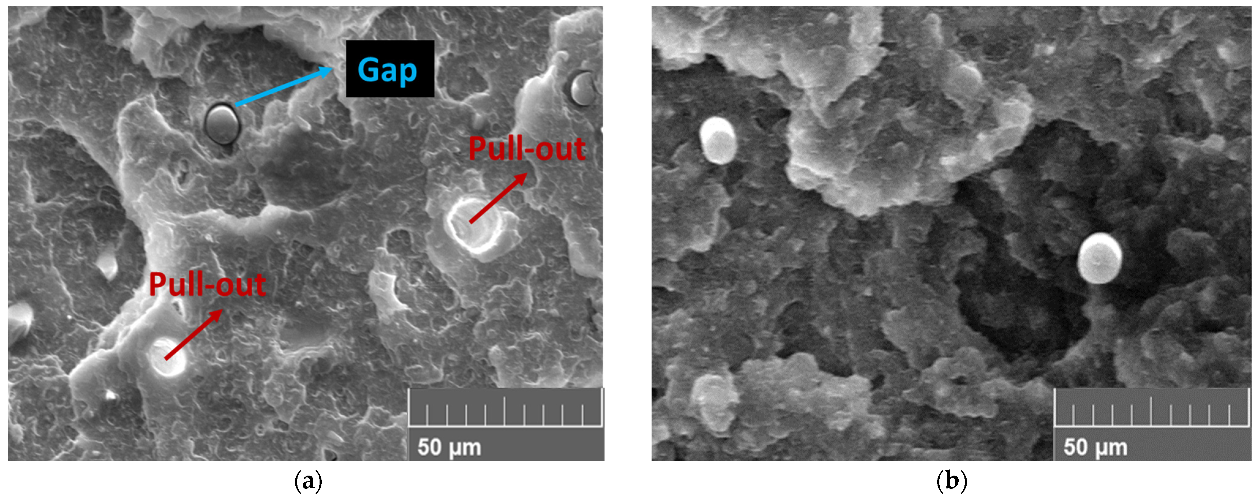 Polymers 15 03110 g015