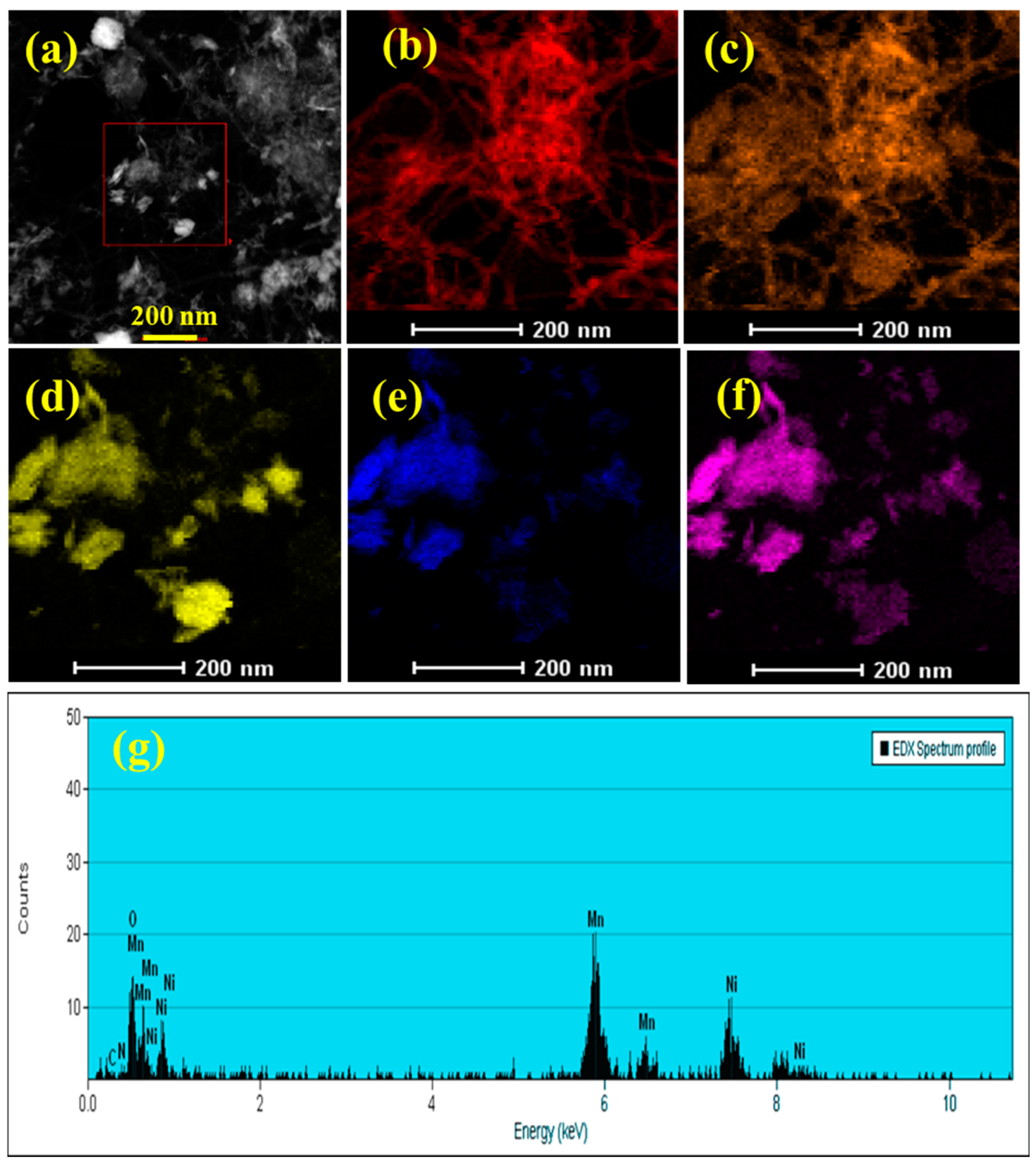 Polymers 15 03116 g005