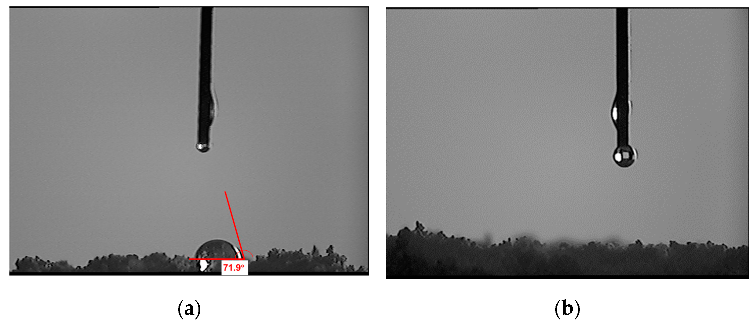 Polymers 15 03130 g003