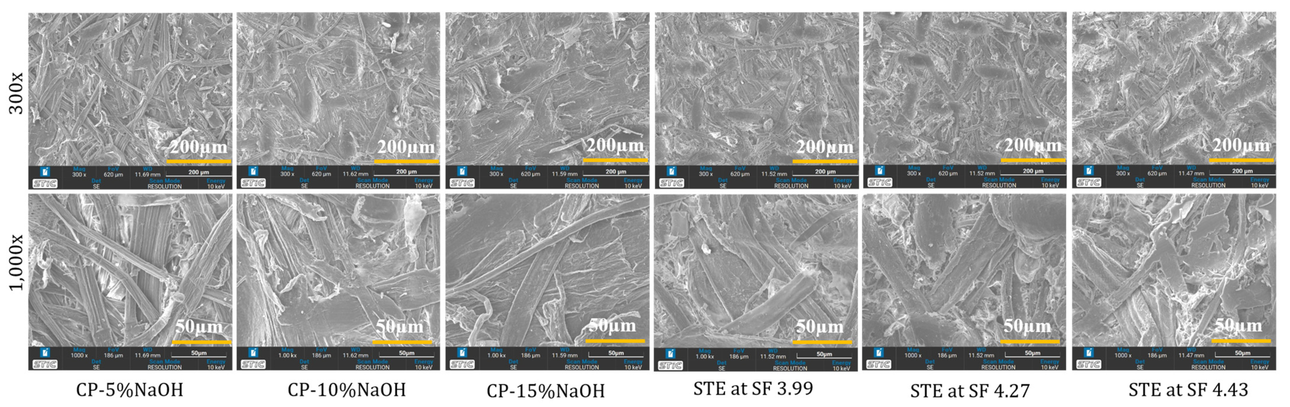 Polymers 15 03132 g004