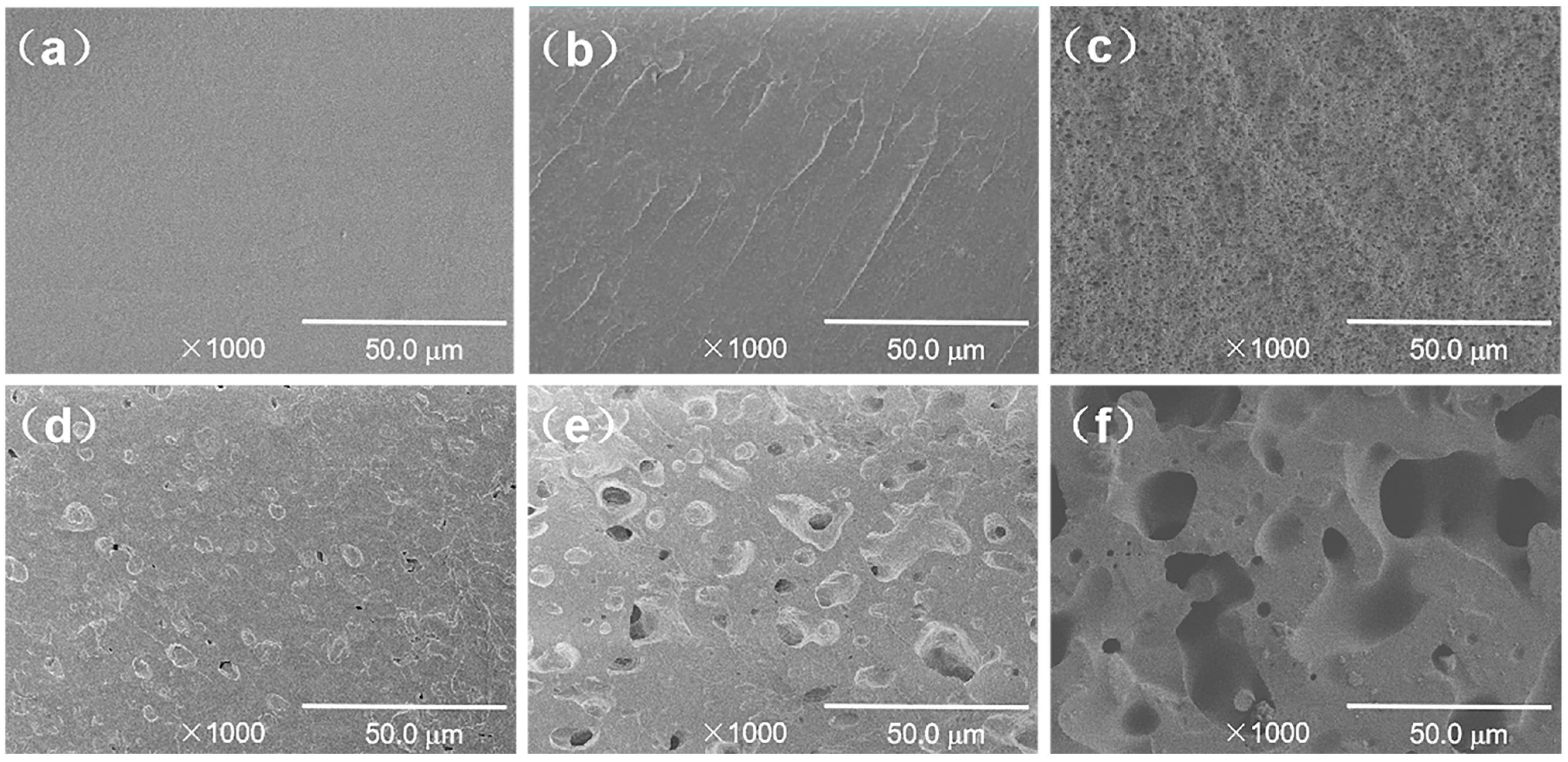 Polymers 15 03134 g002 Polymers 15 03134 g002