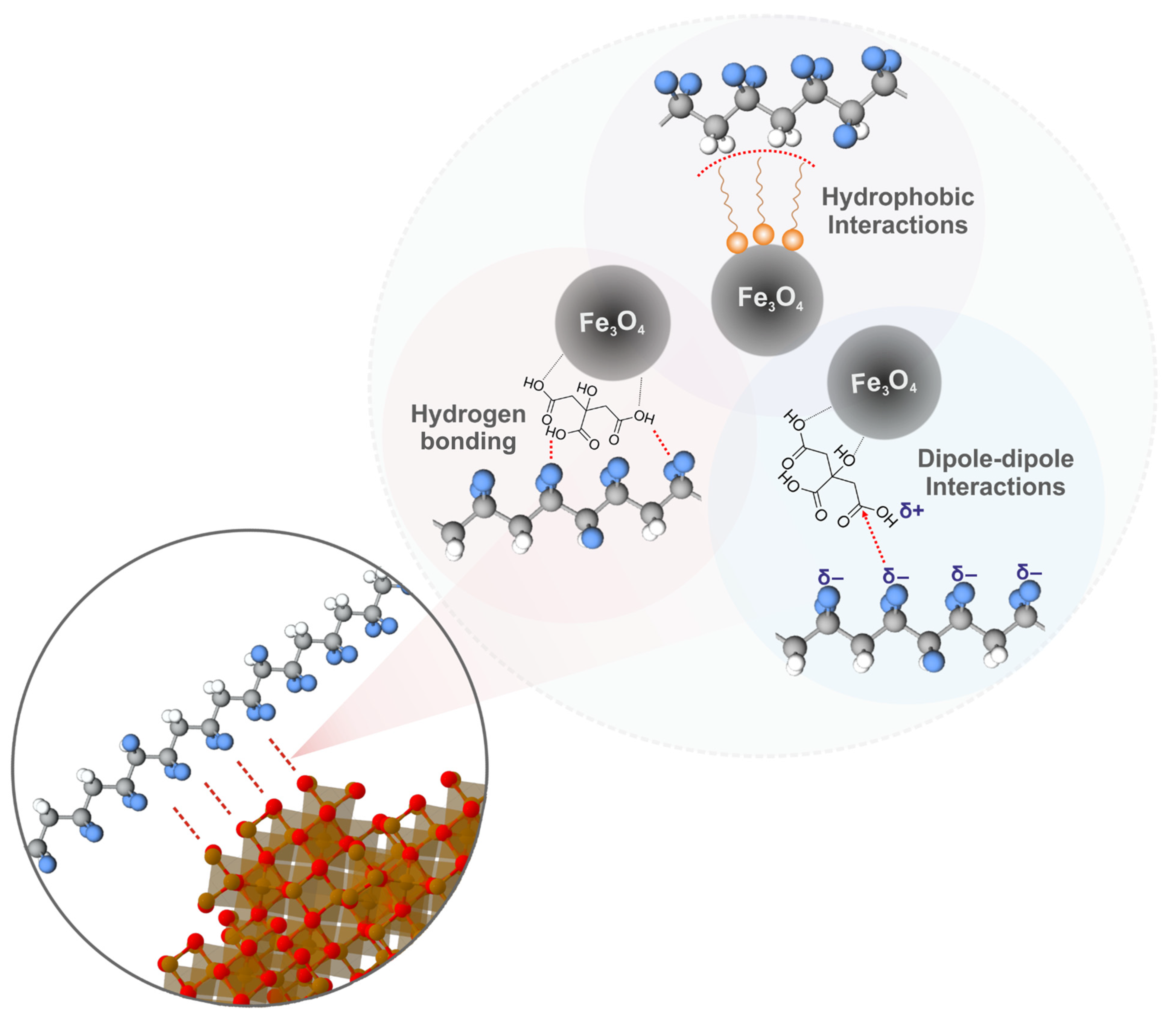 Polymers 15 03135 g008 Polymers 15 03135 g008