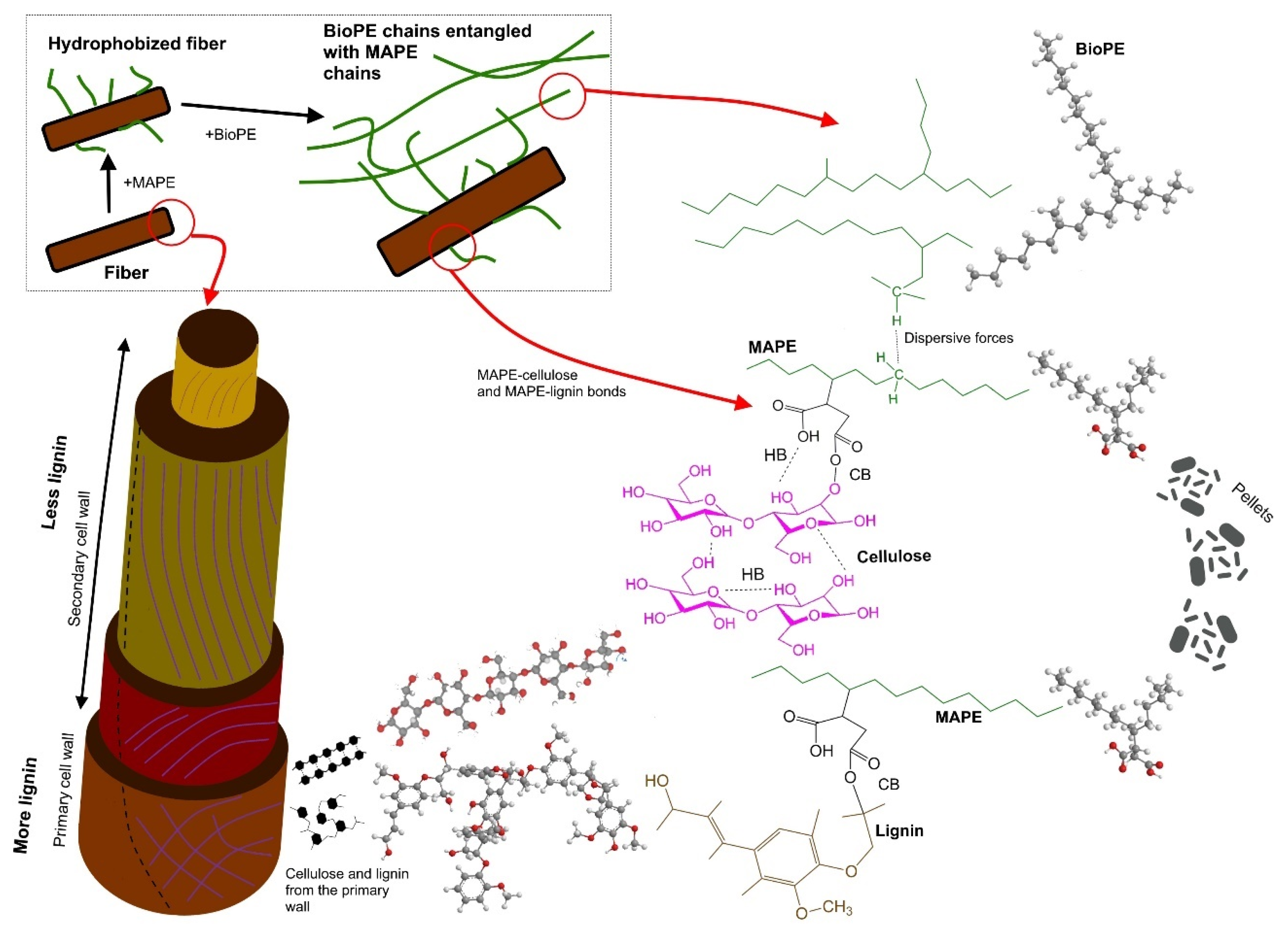 Polymers 15 03137 g001 Polymers 15 03137 g001