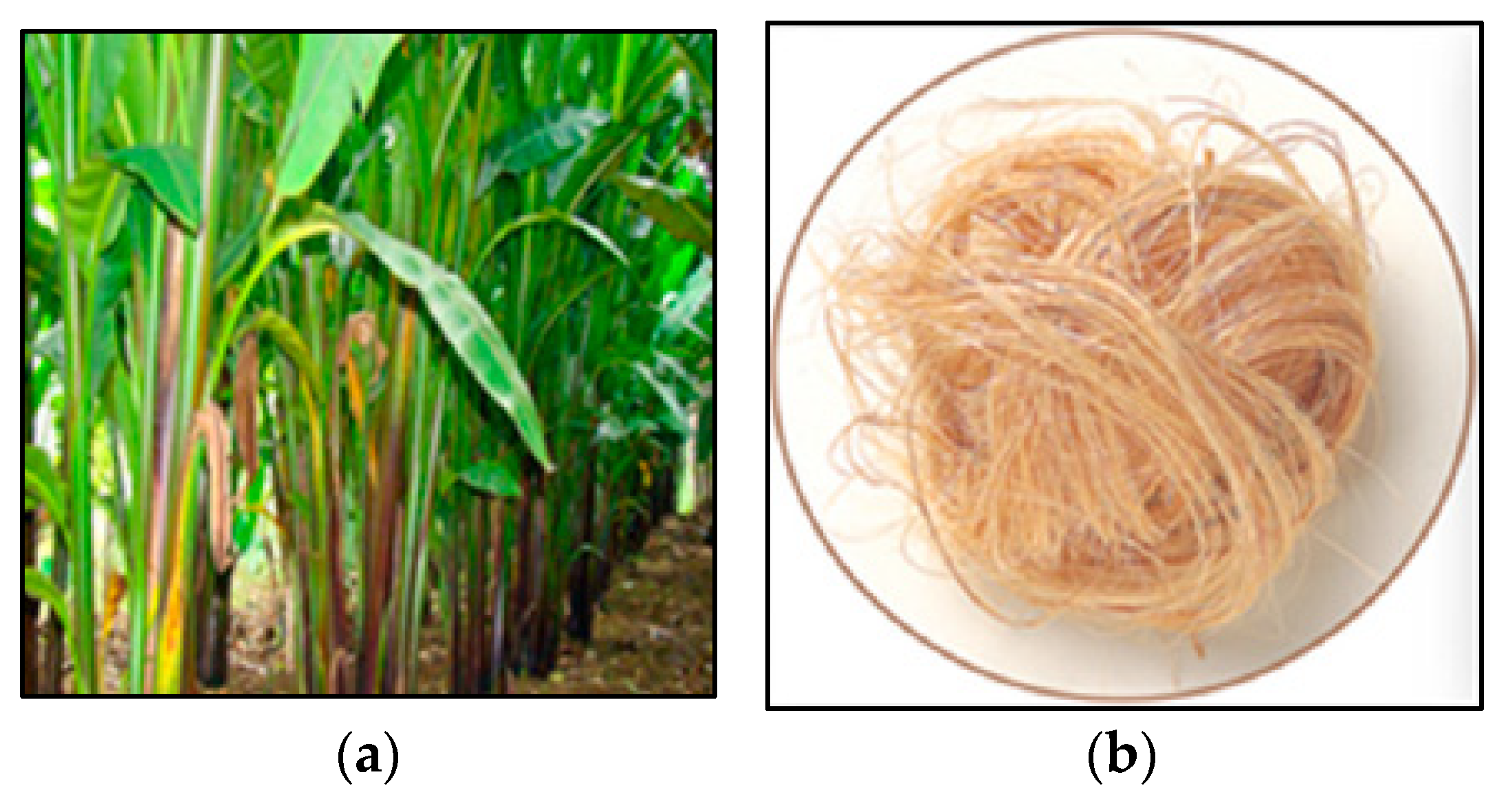 Polymers 15 03137 g002 Polymers 15 03137 g002