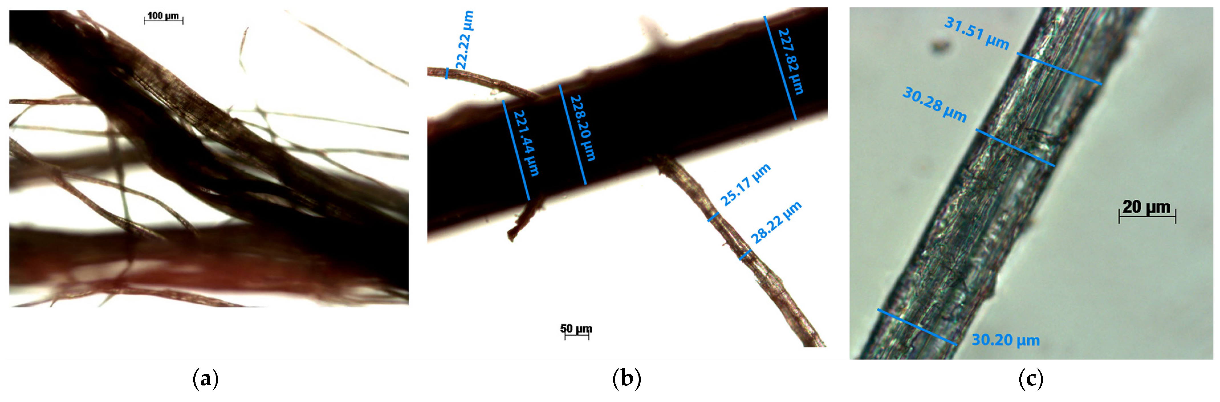 Polymers 15 03137 g005 Polymers 15 03137 g005