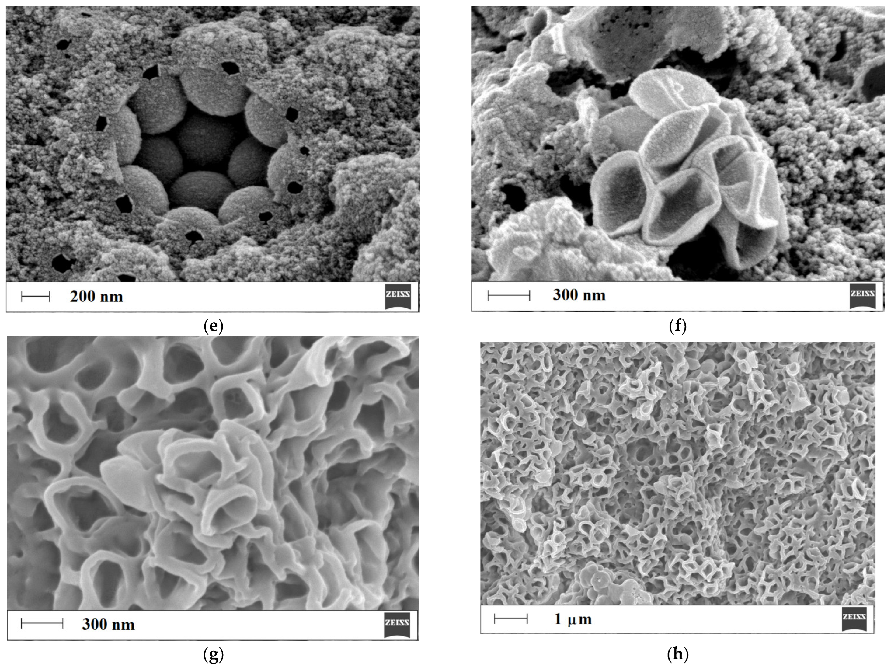 Polymers 15 03149 g004b Polymers 15 03149 g004b