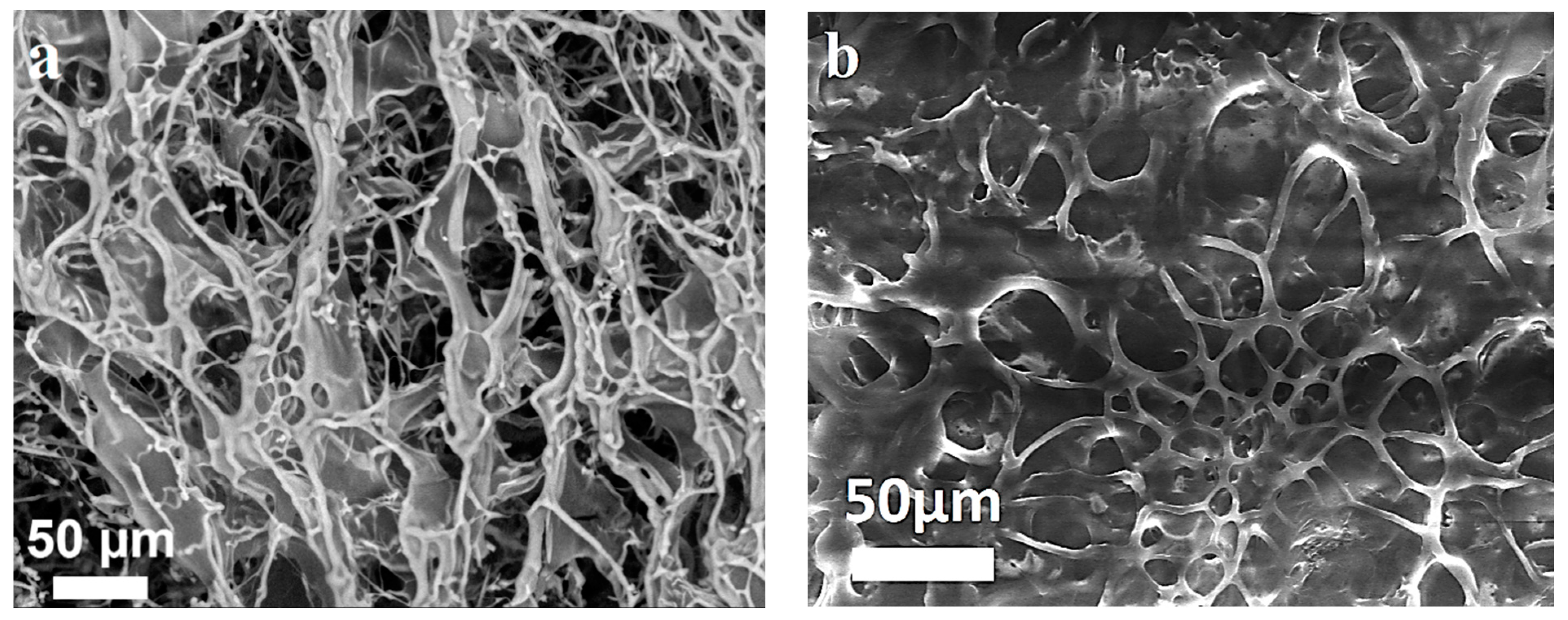 Polymers 15 03159 g003