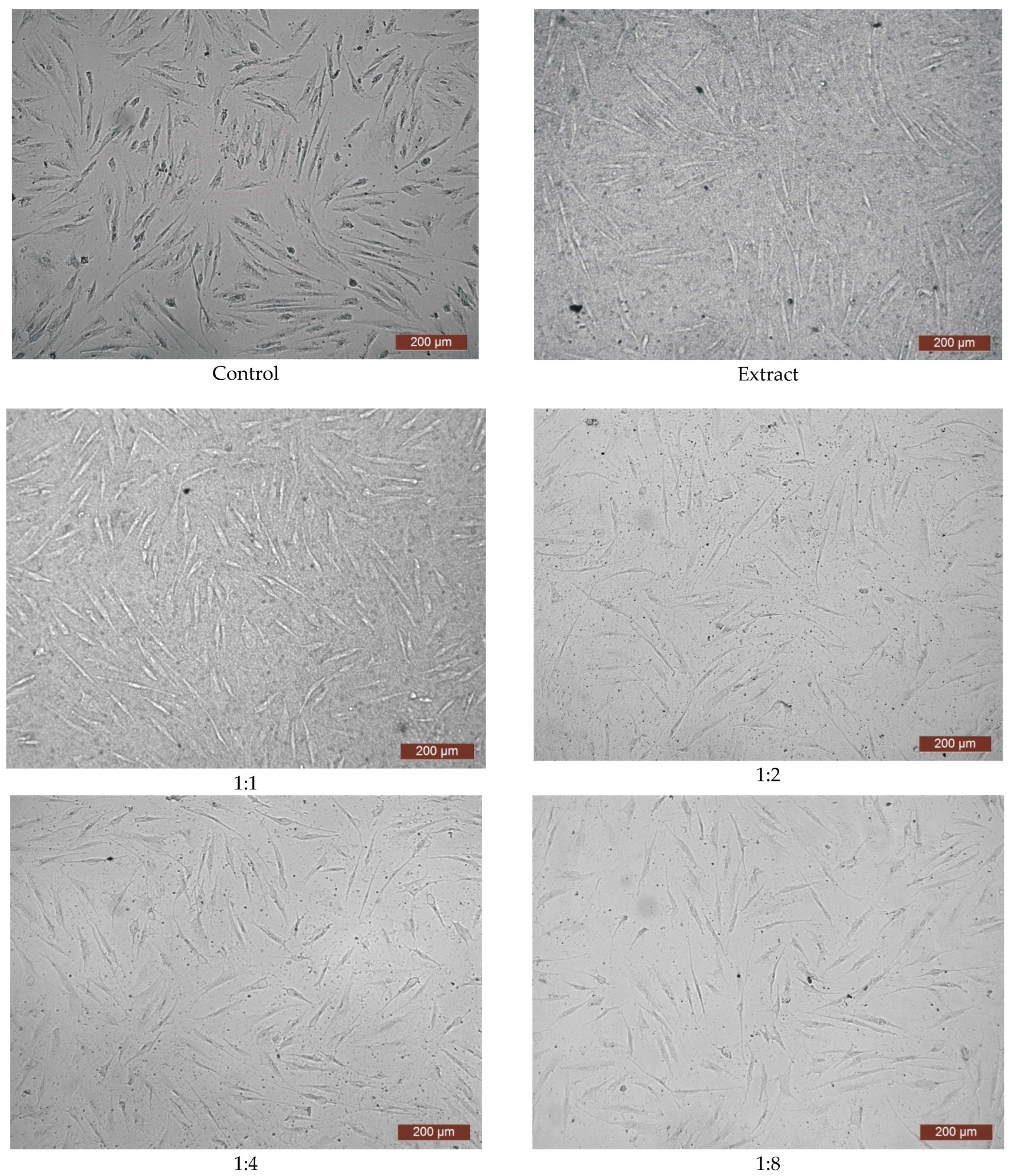 Polymers 15 03159 g007