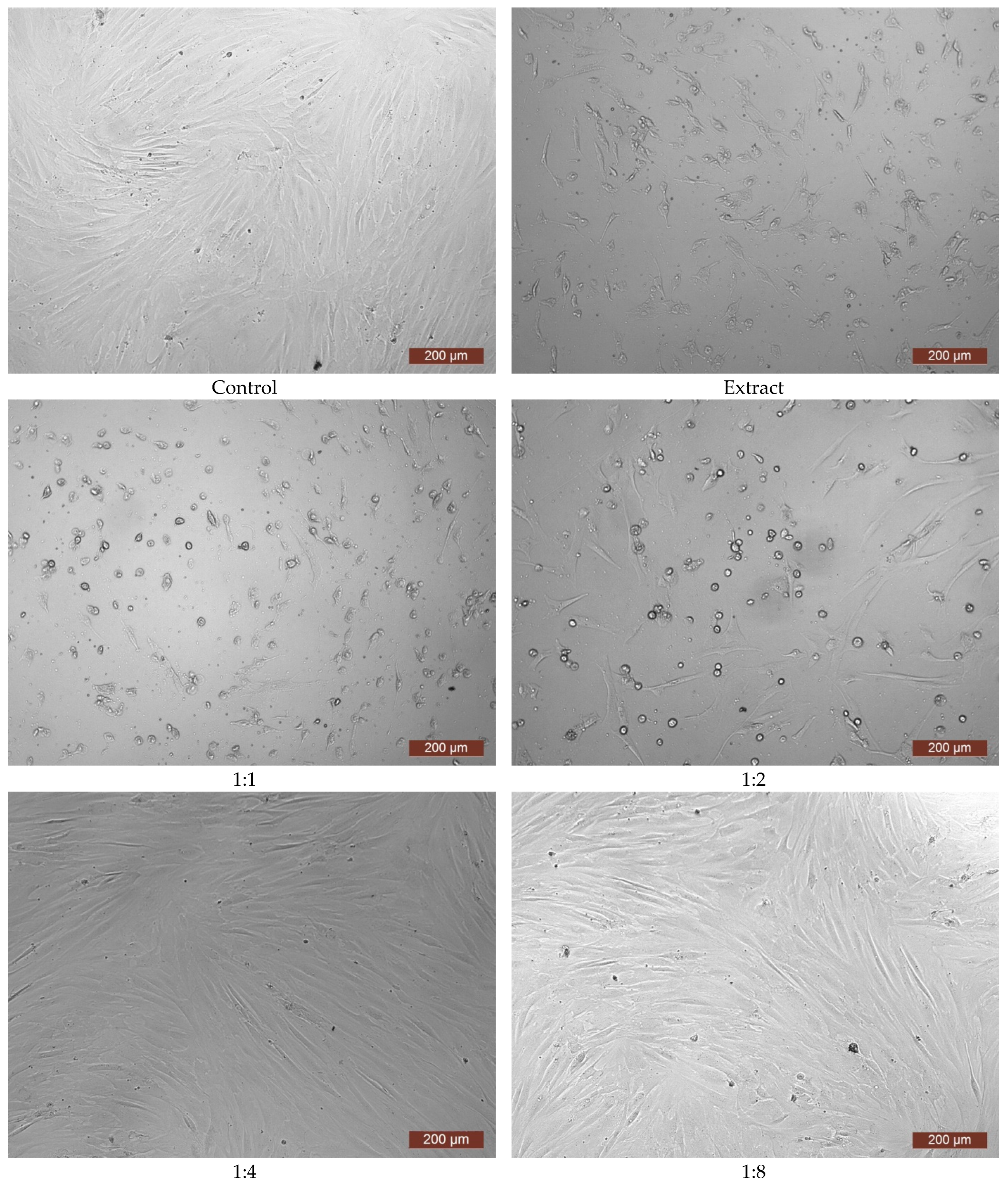 Polymers 15 03159 g010