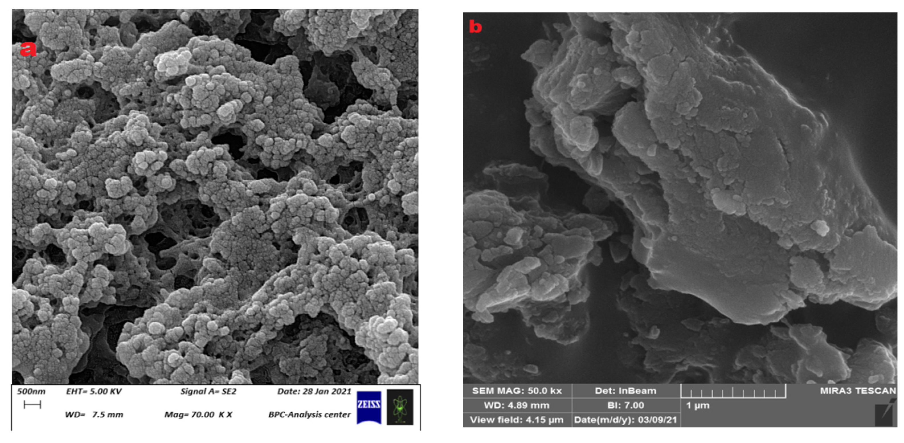 Polymers 15 03173 g007
