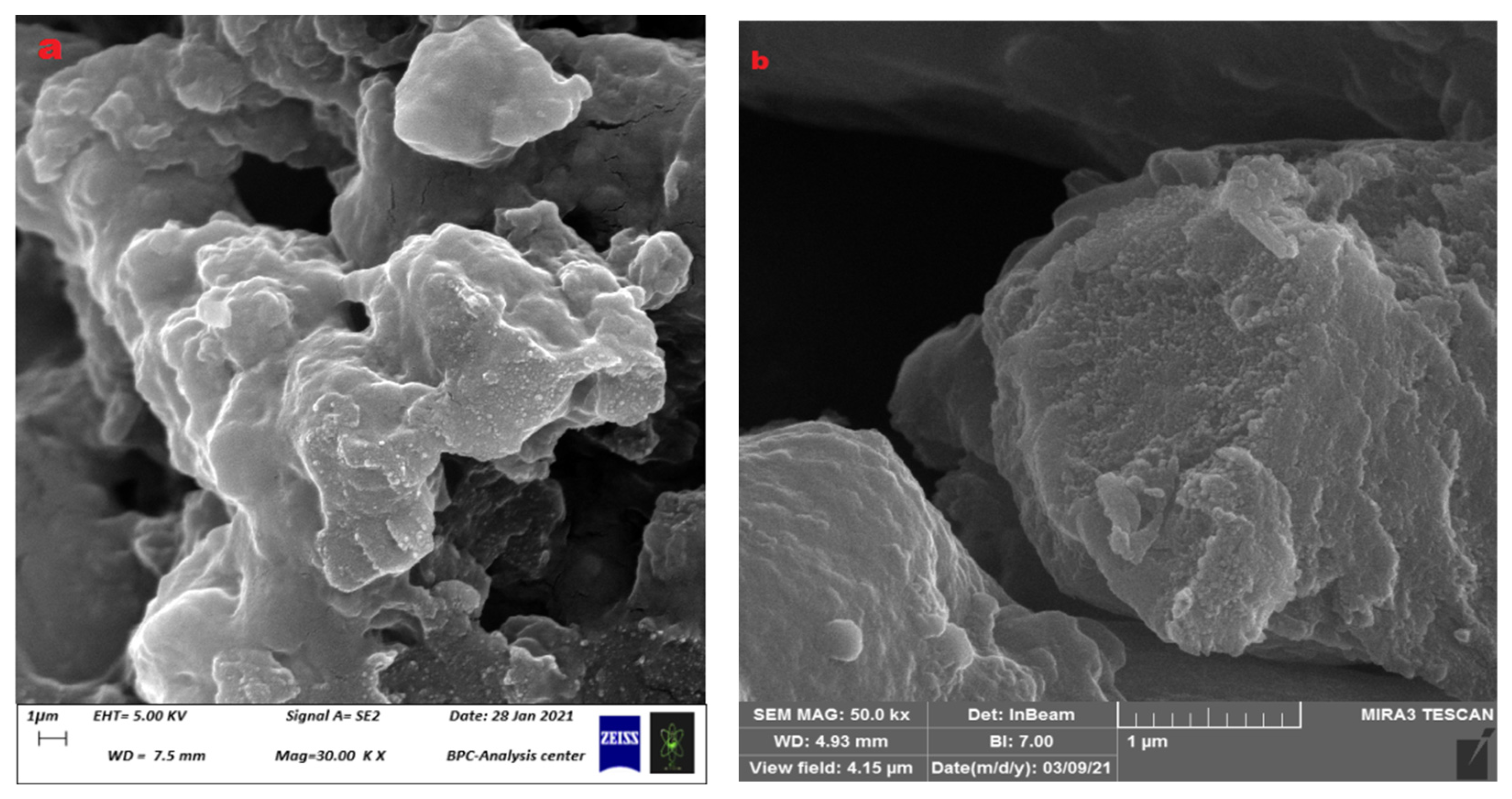 Polymers 15 03173 g008