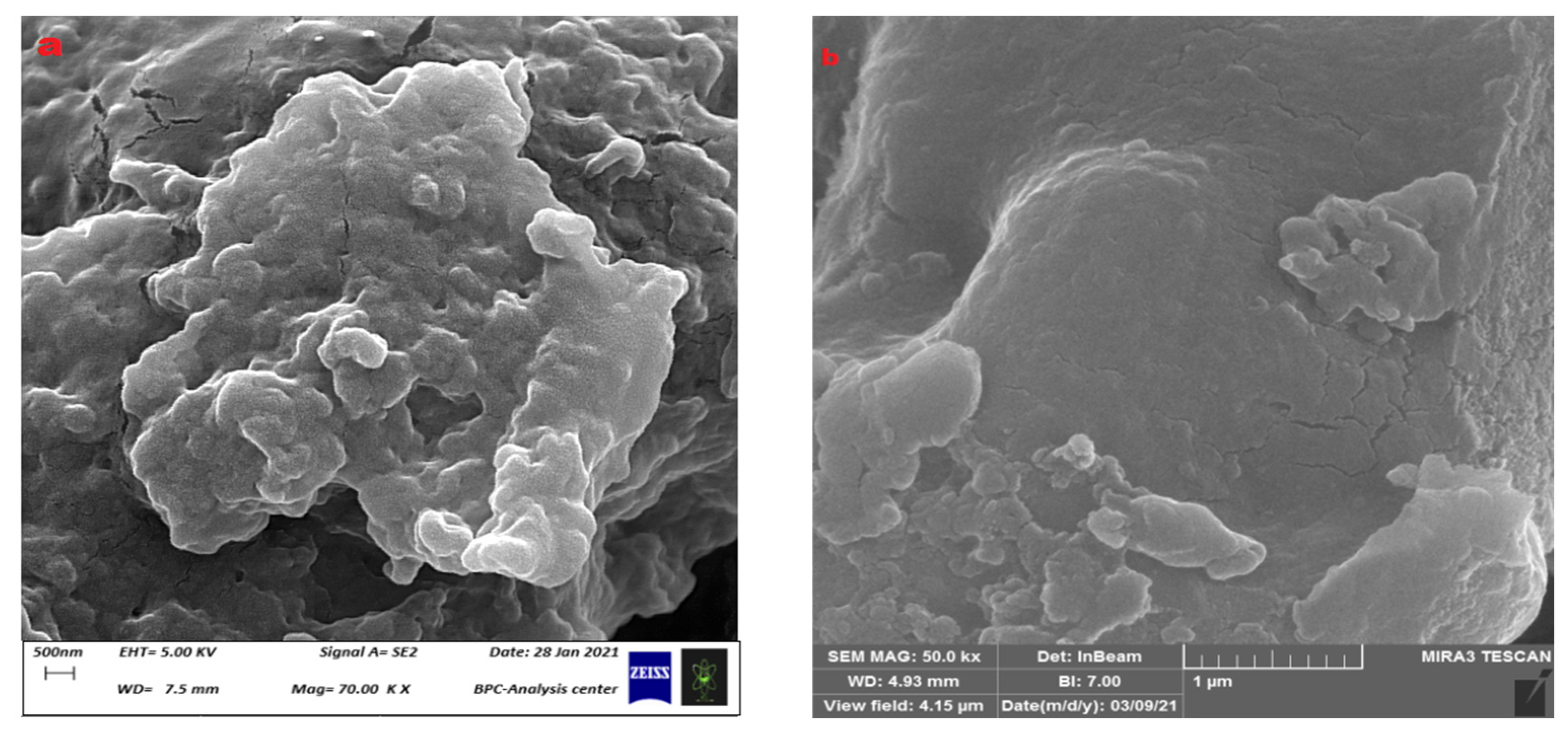 Polymers 15 03173 g012