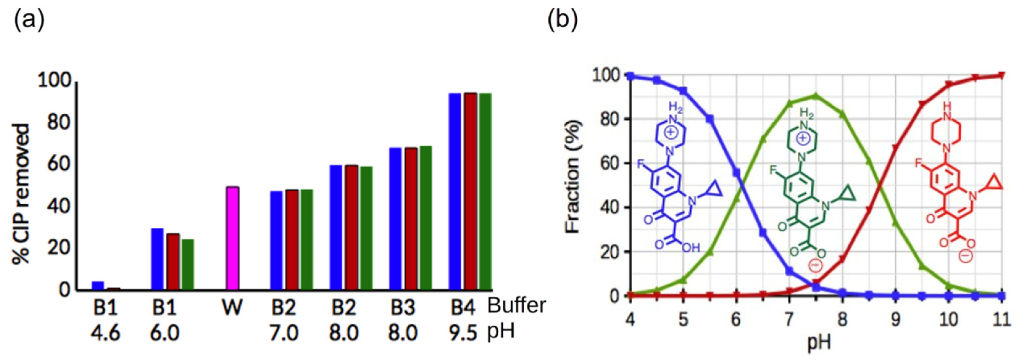 Polymers 15 03188 g005
