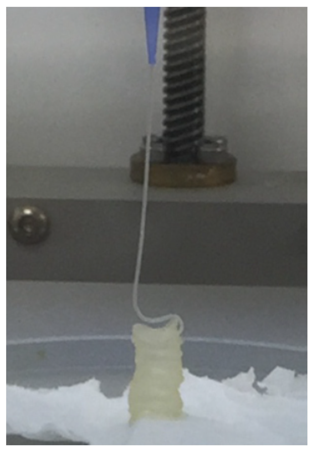 Polymers 15 03196 g001 Polymers 15 03196 g001