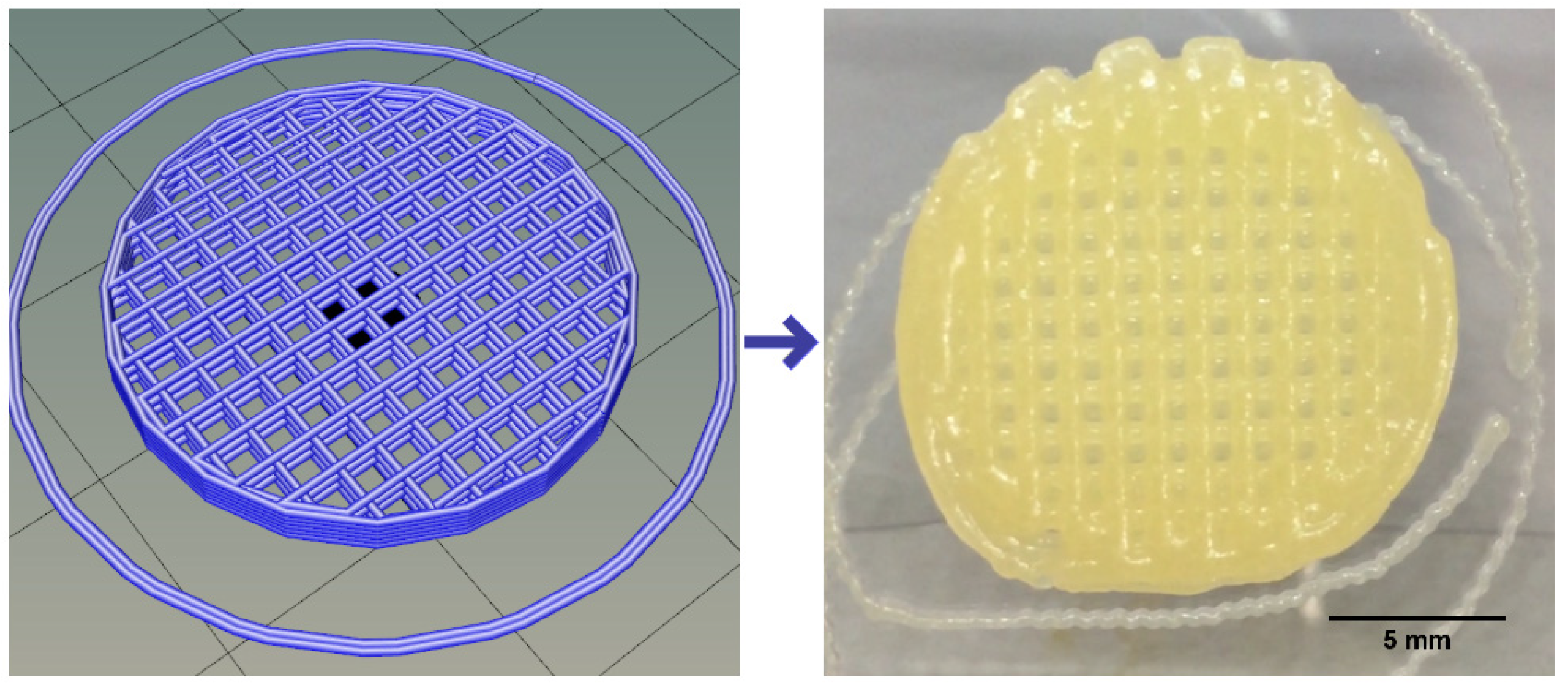 Polymers 15 03196 g005 Polymers 15 03196 g005