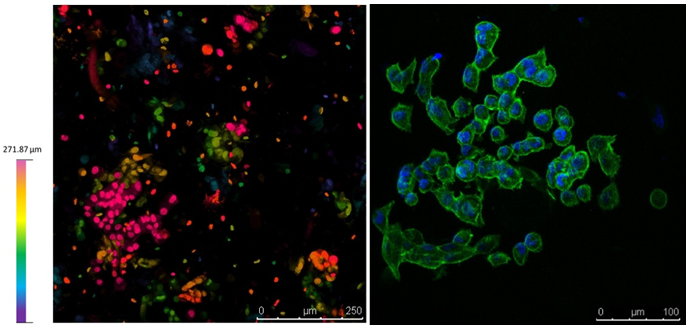 Polymers 15 03196 g009 Polymers 15 03196 g009
