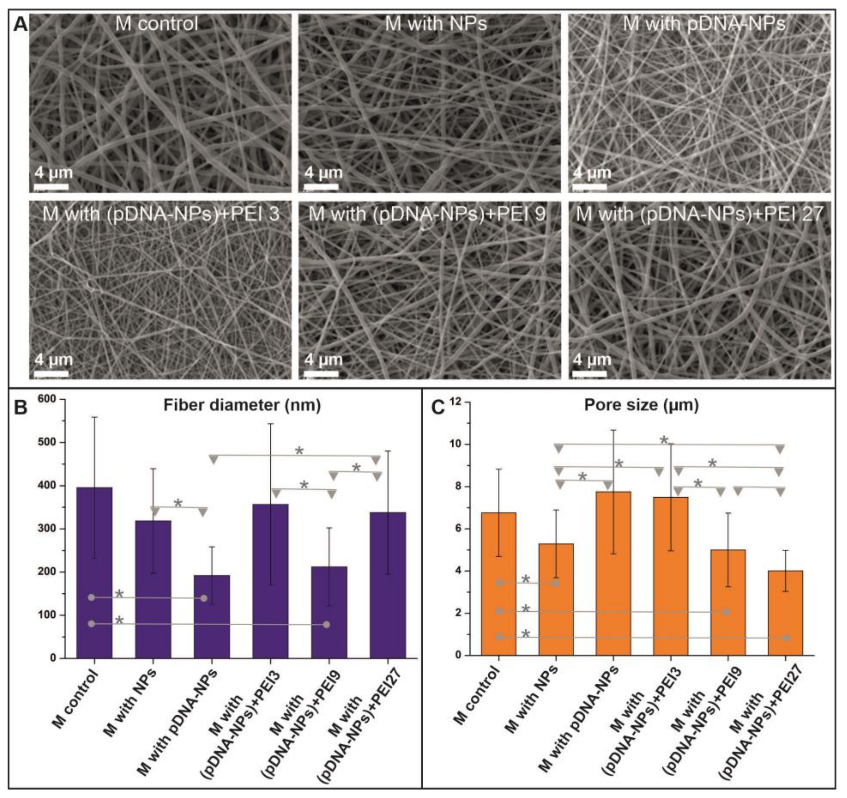Polymers 15 03202 g002 Polymers 15 03202 g002