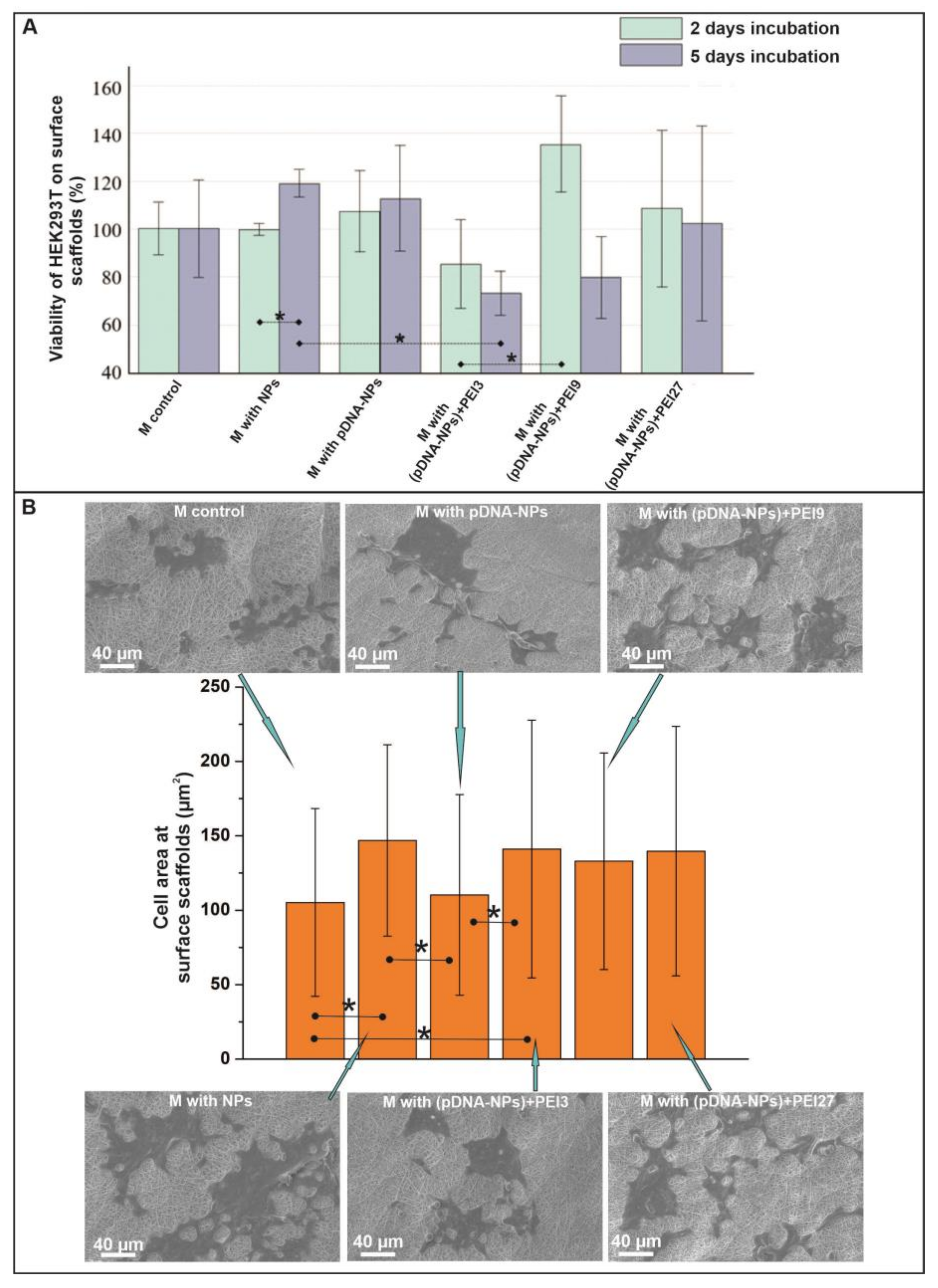 Polymers 15 03202 g005 Polymers 15 03202 g005