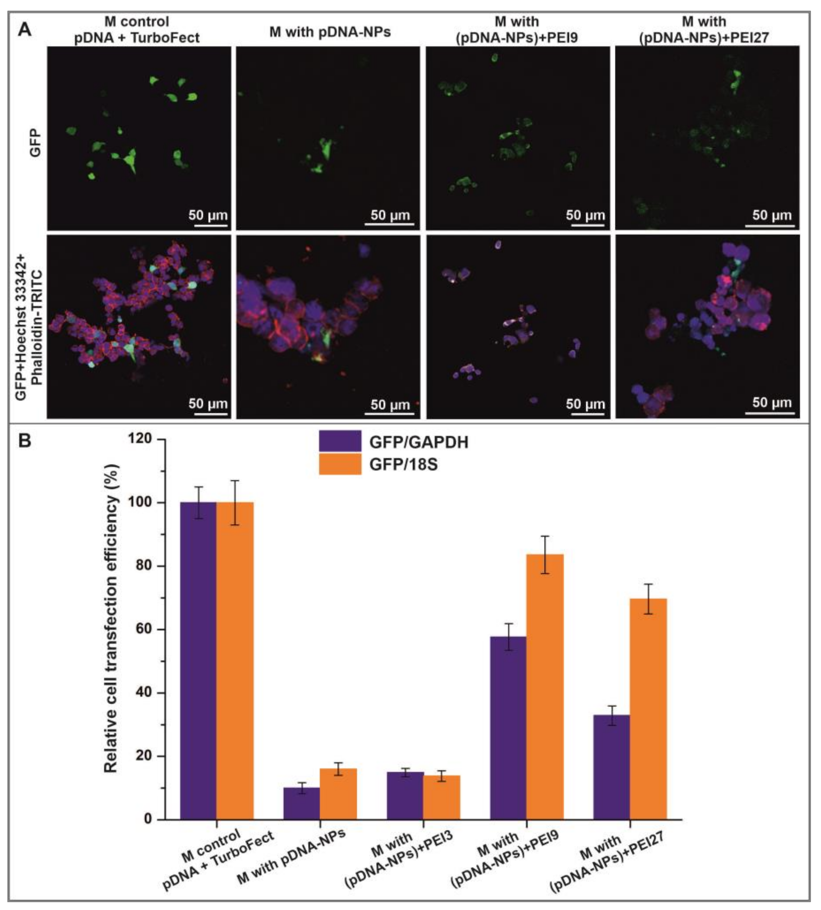 Polymers 15 03202 g006 Polymers 15 03202 g006