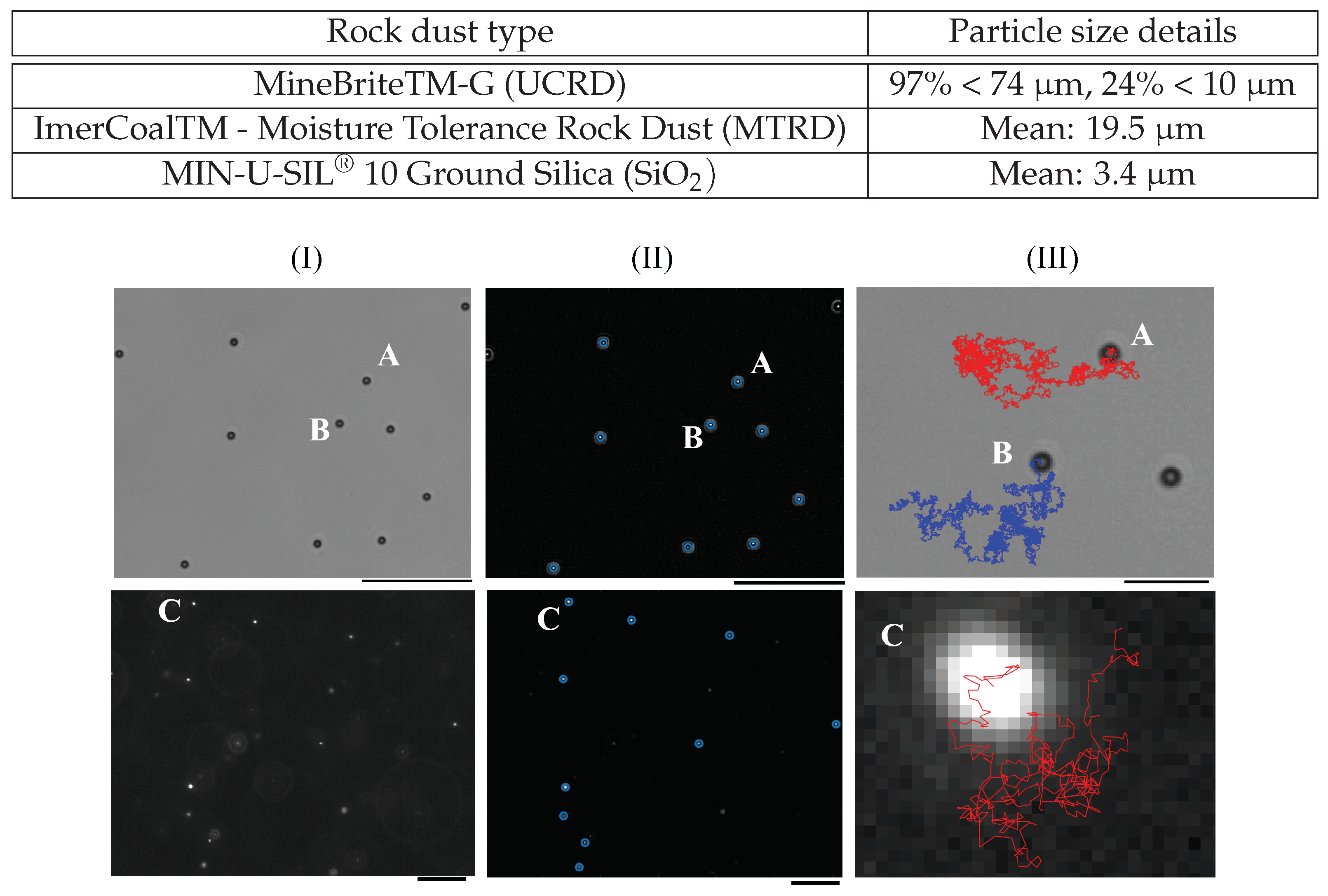 Polymers 15 03241 g001