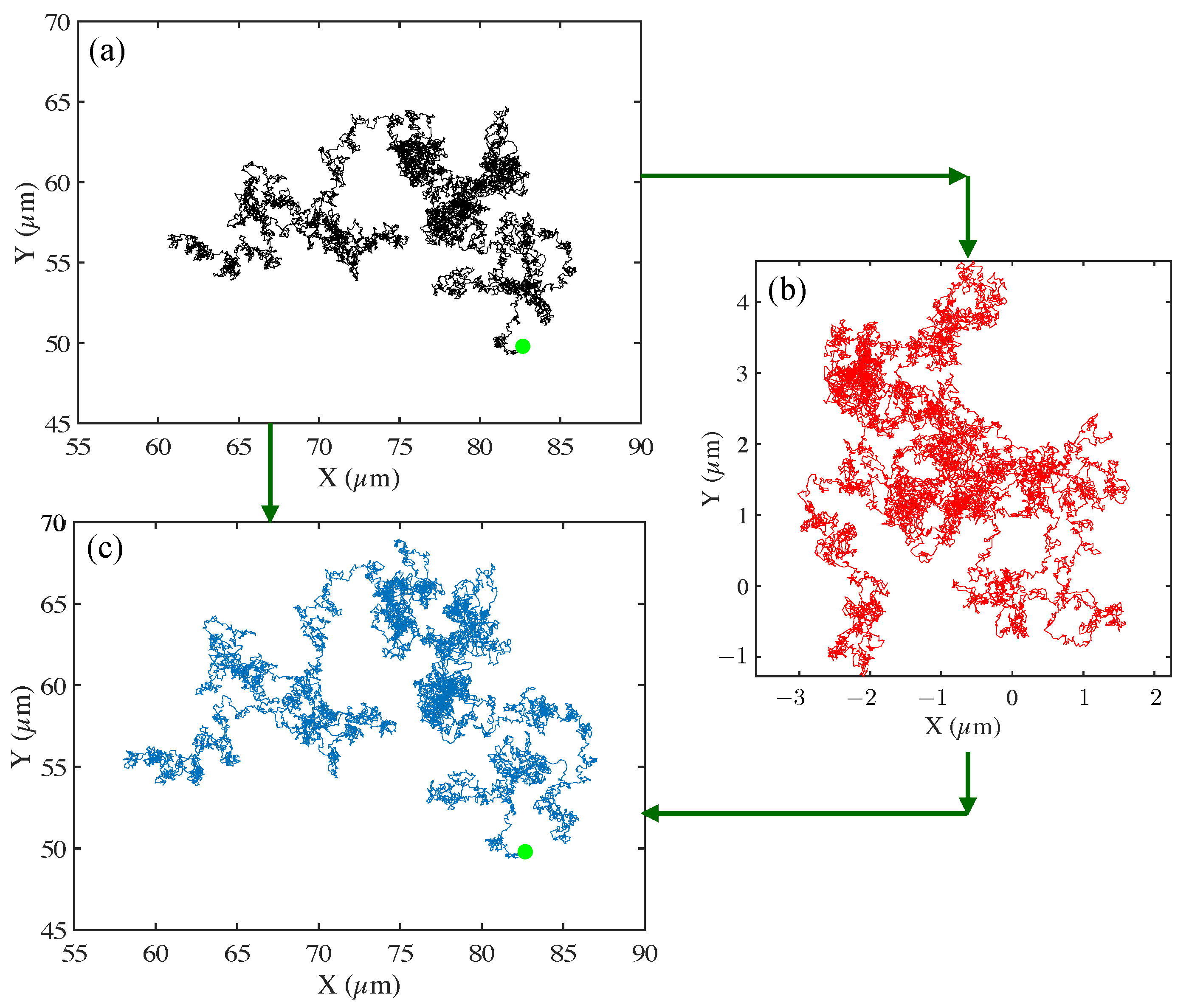 Polymers 15 03241 g002