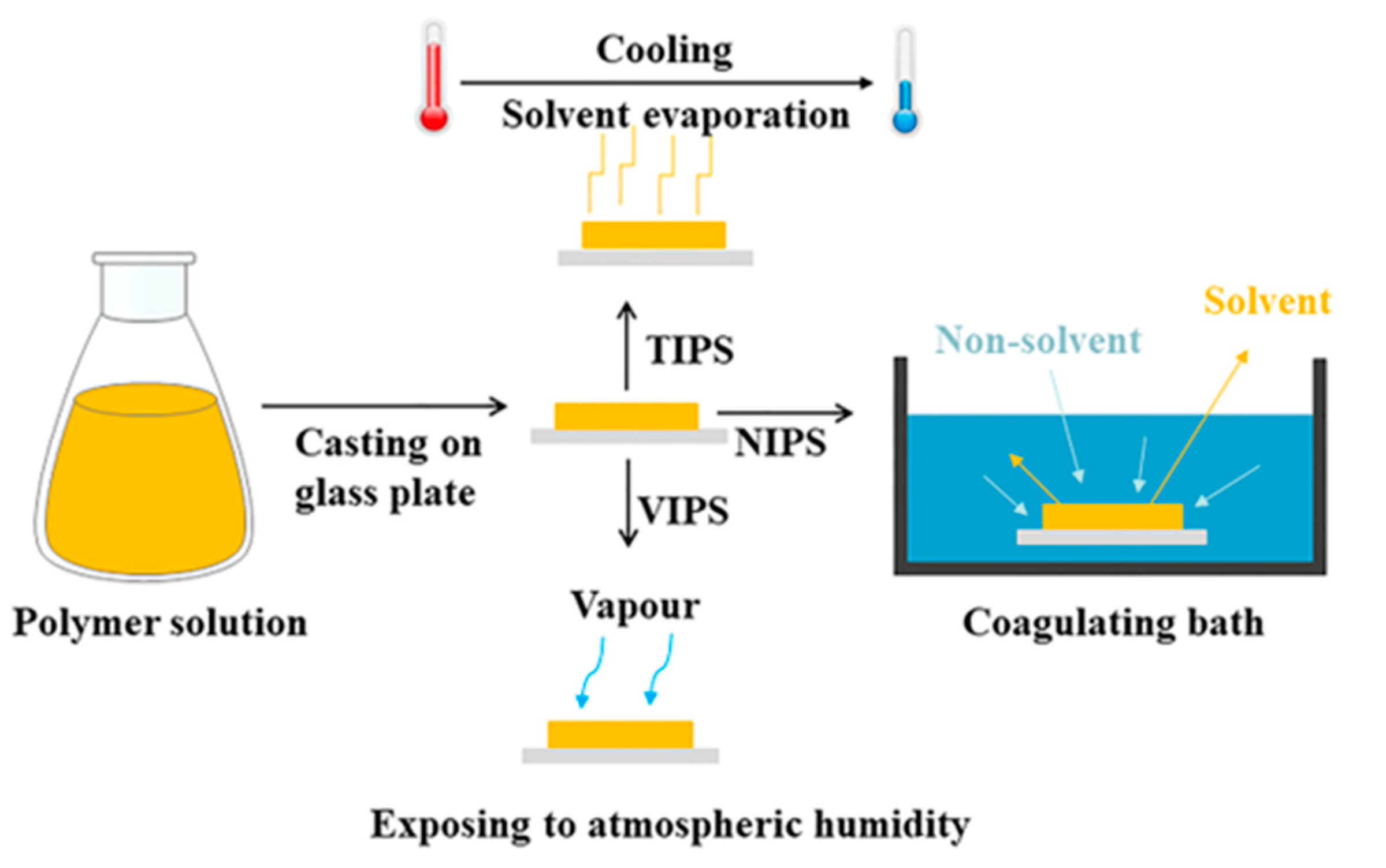 Polymers | Free Full-Text | Development of Support Layers and Their ...