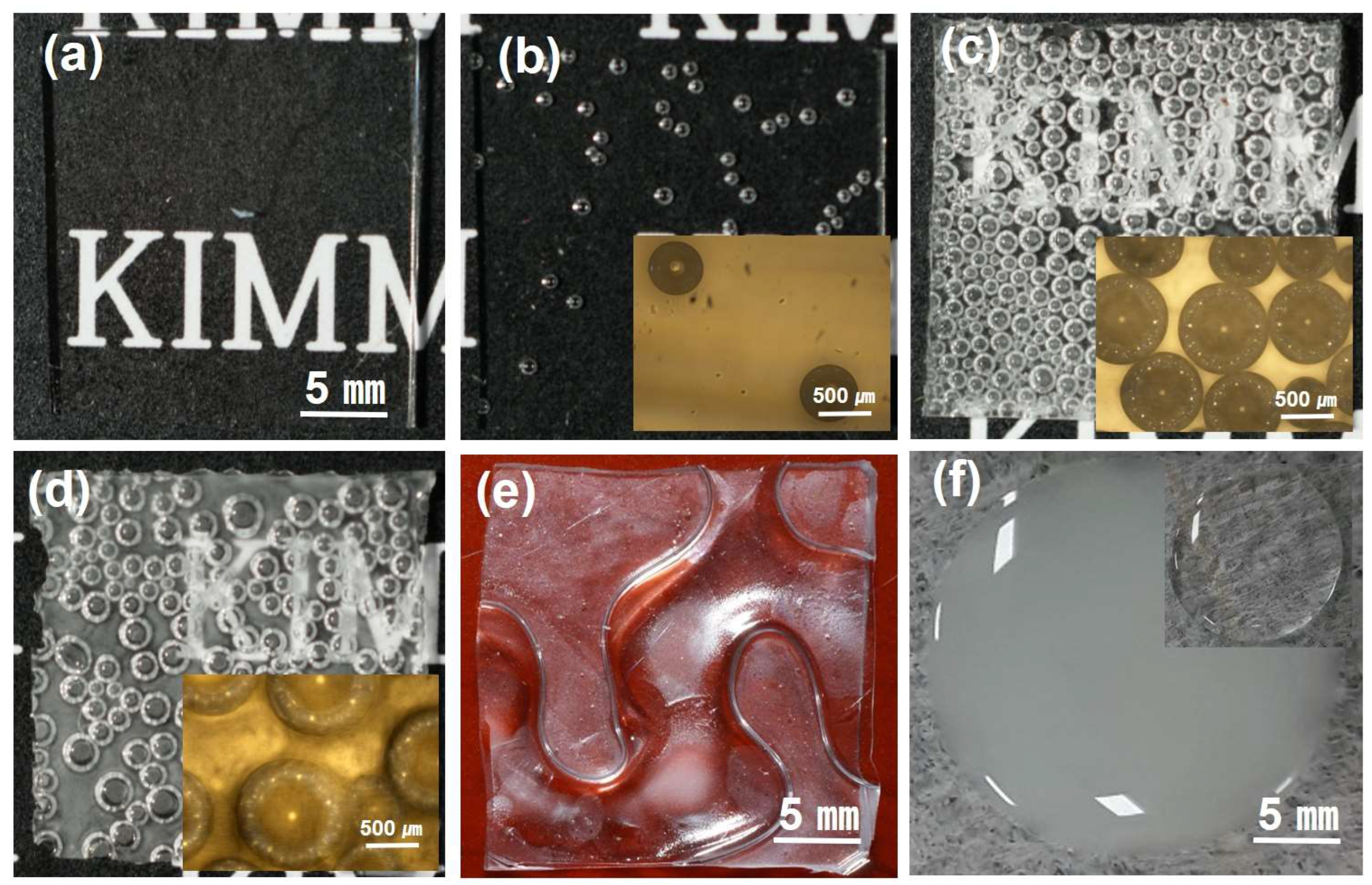 Polymers 15 03301 g001
