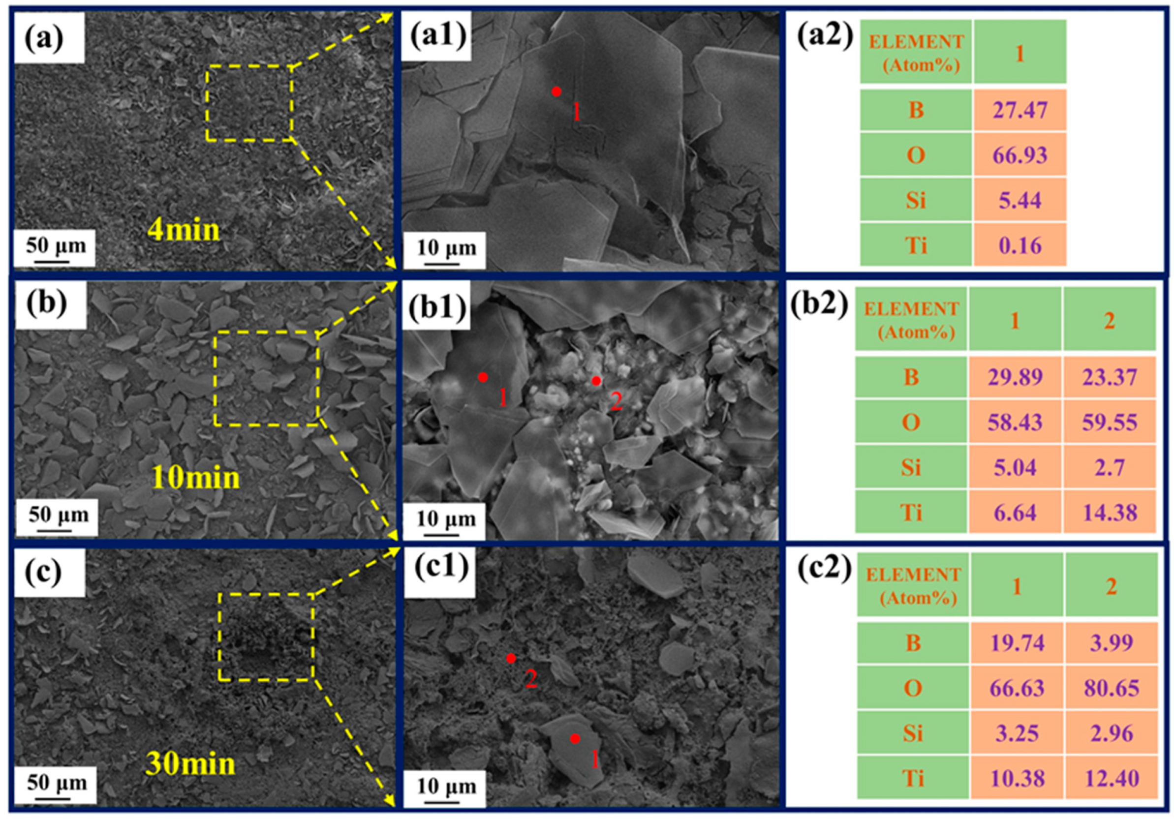 Polymers 15 03319 g012