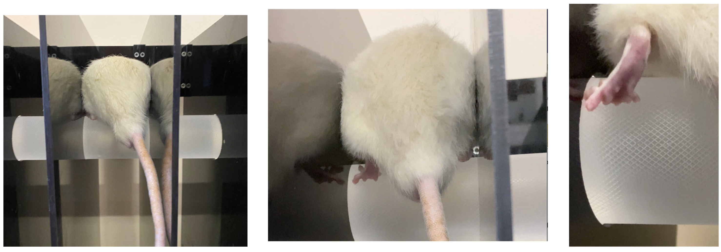 Polymers 15 03323 g008